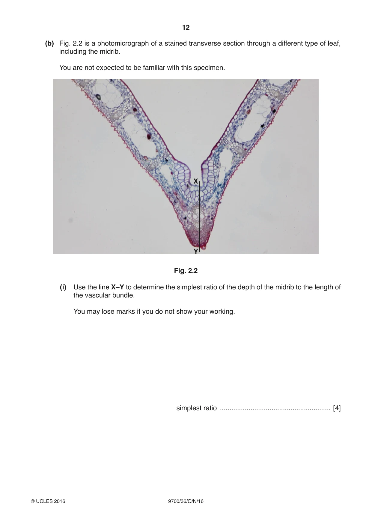 Cambridge A Level Biology 9700 2016 Oct/Nov Paper 3 · Variant 6 question paper, page 12 of 16