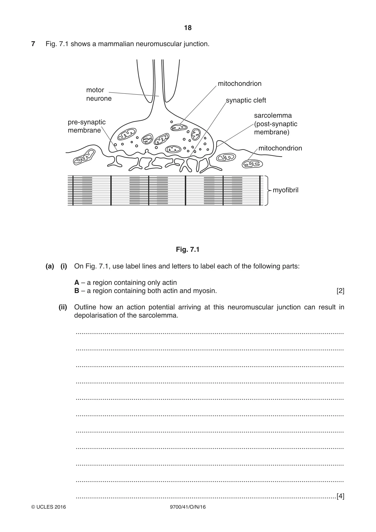 Cambridge A Level Biology 9700 2016 Oct/Nov Paper 4 · Variant 1 question paper, page 18 of 28