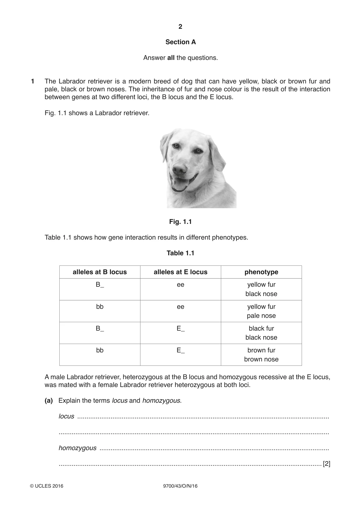 Cambridge A Level Biology 9700 2016 Oct/Nov Paper 4 · Variant 3 question paper, page 2 of 24
