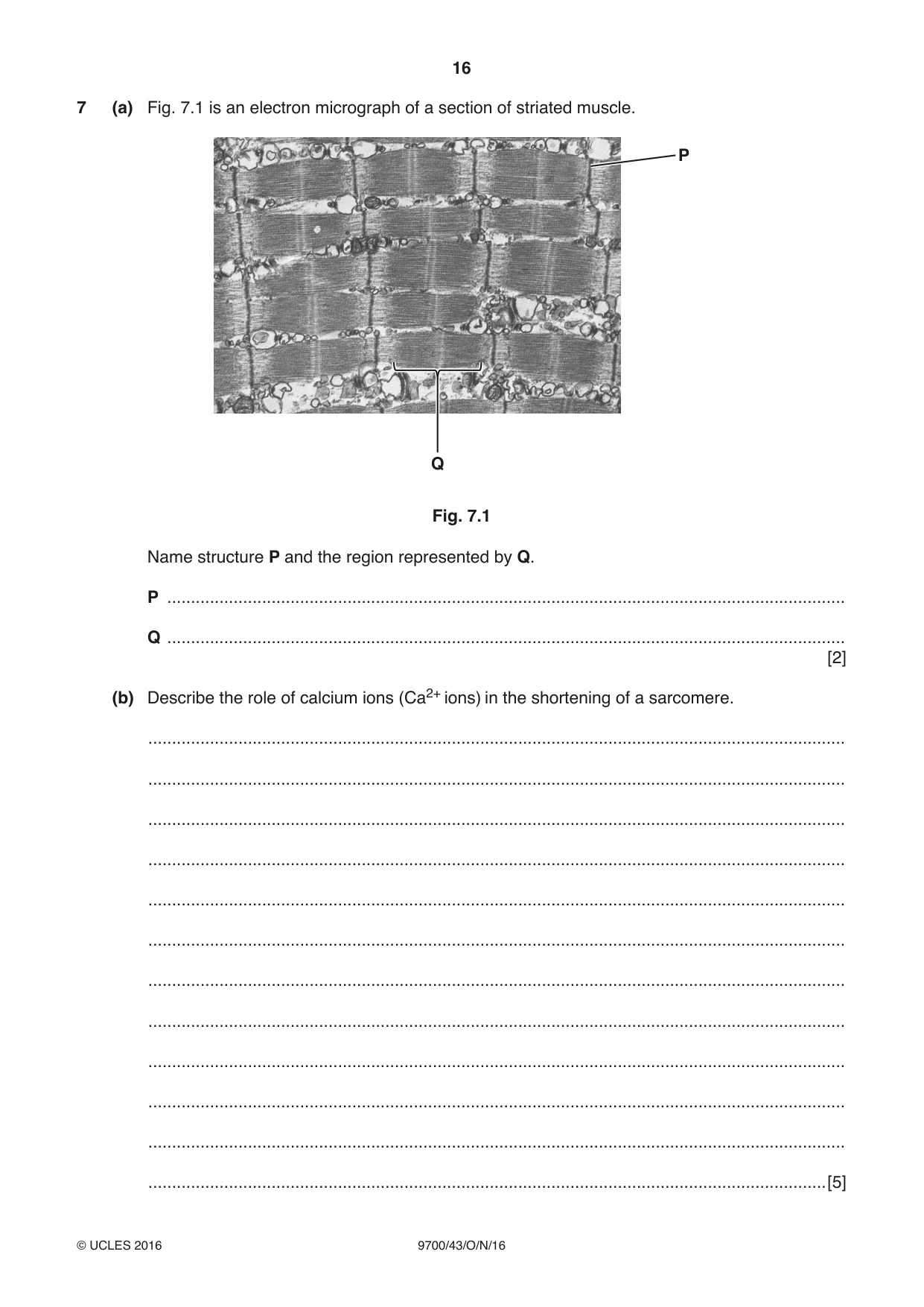 Cambridge A Level Biology 9700 2016 Oct/Nov Paper 4 · Variant 3 question paper, page 16 of 24