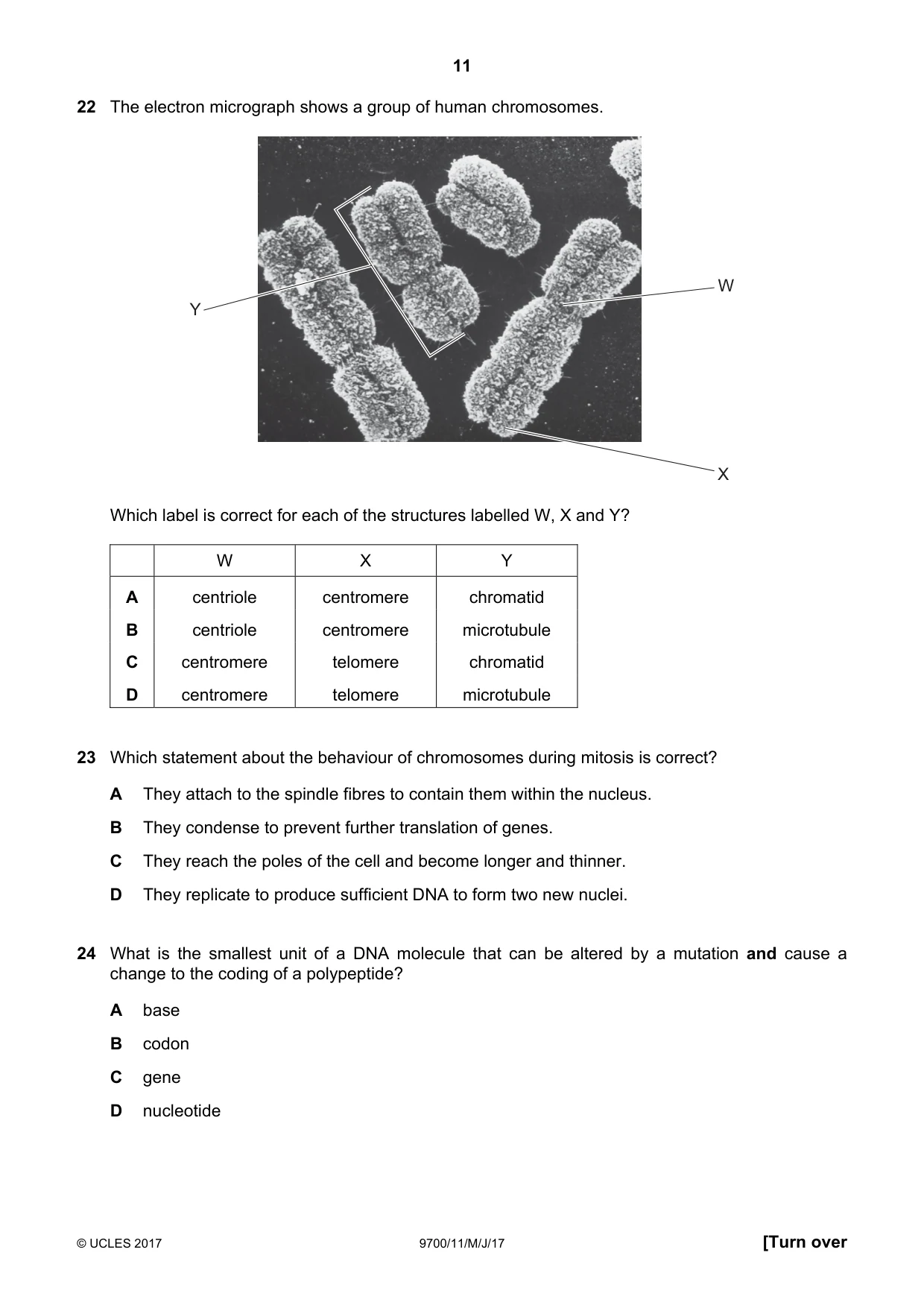 Cambridge A Level Biology 9700 2017 May/June Paper 1 · Variant 1 question paper, page 11 of 20