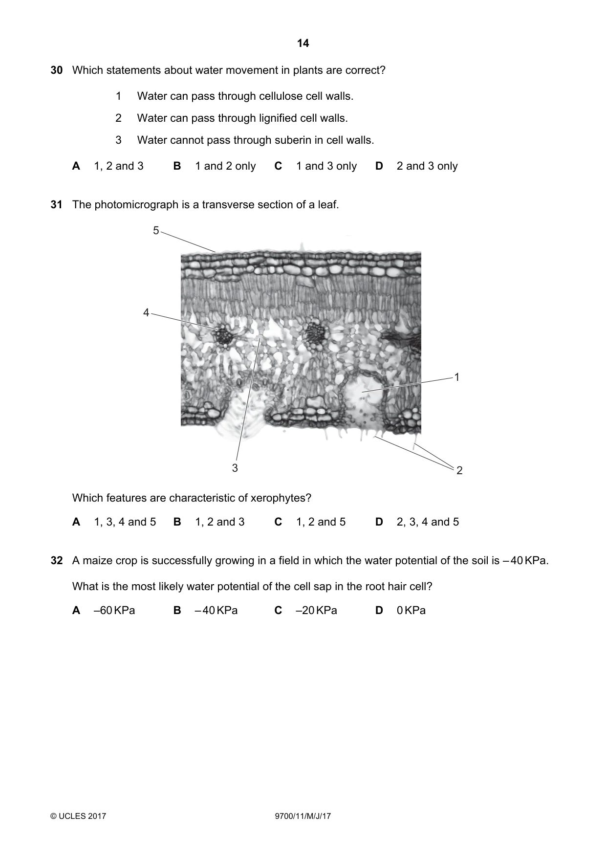 Cambridge A Level Biology 9700 2017 May/June Paper 1 · Variant 1 question paper, page 14 of 20