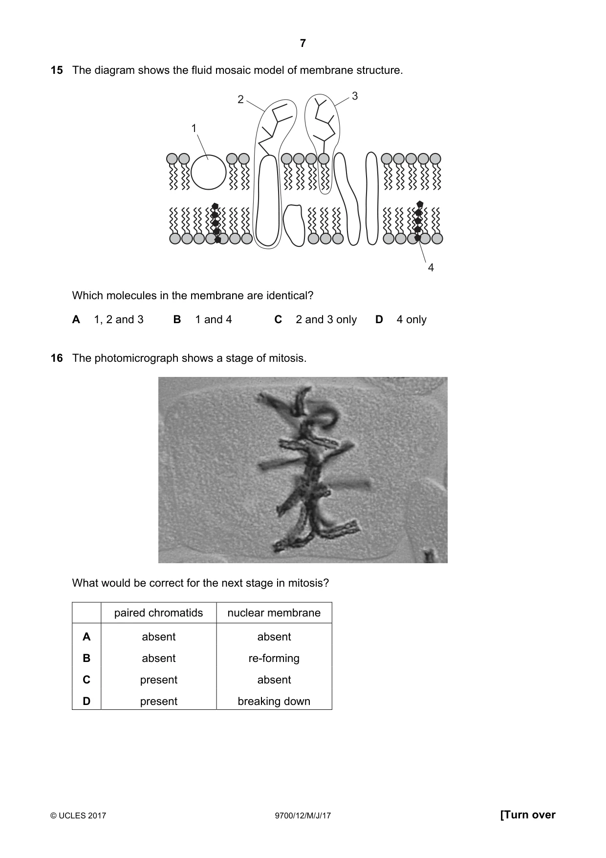Cambridge A Level Biology 9700 2017 May/June Paper 1 · Variant 2 question paper, page 7 of 20