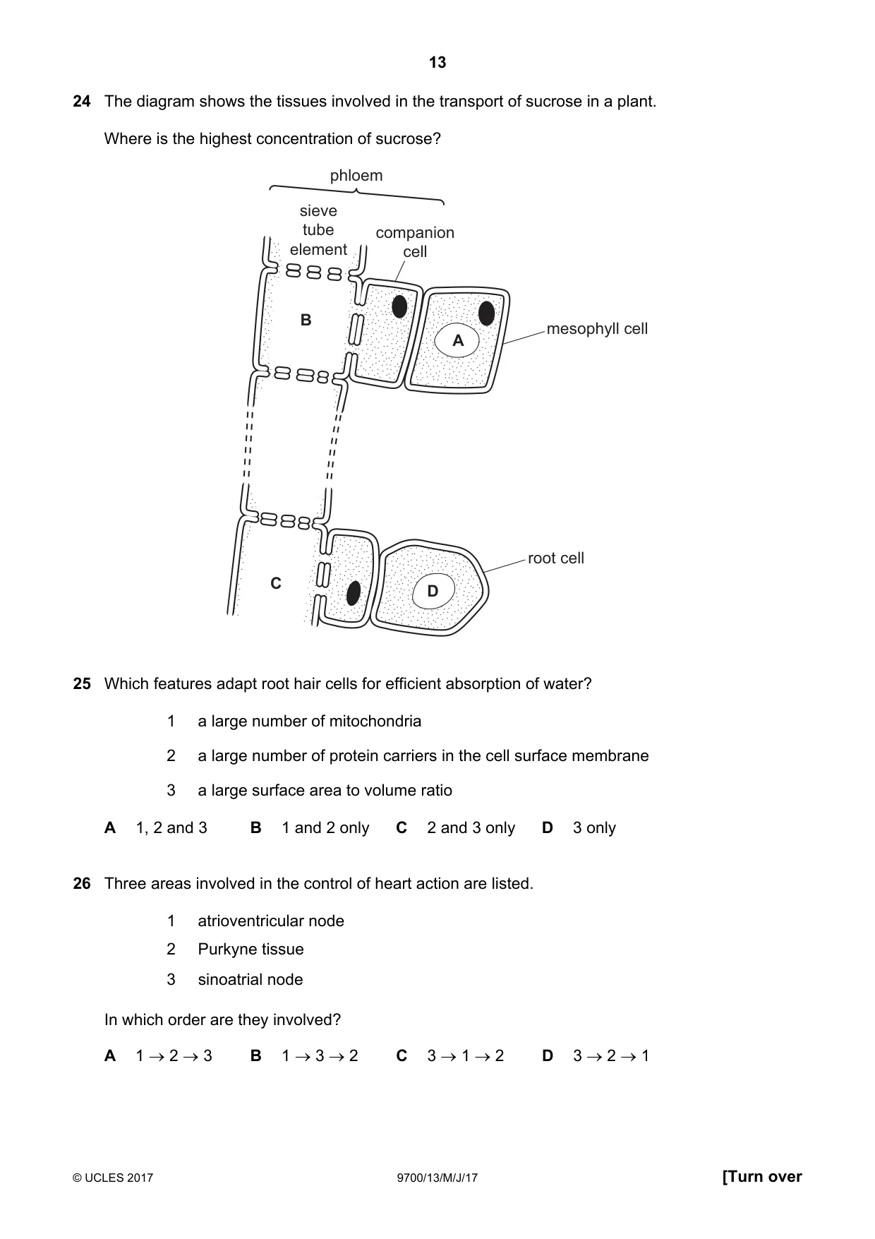 Cambridge A Level Biology 9700 2017 May/June Paper 1 · Variant 3 question paper, page 13 of 20