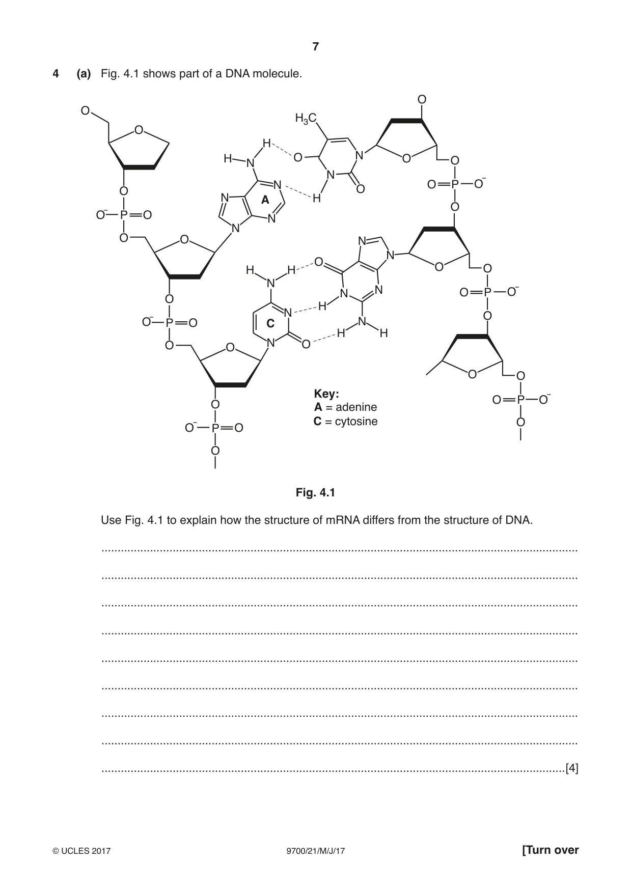 Cambridge A Level Biology 9700 2017 May/June Paper 2 · Variant 1 question paper, page 7 of 16