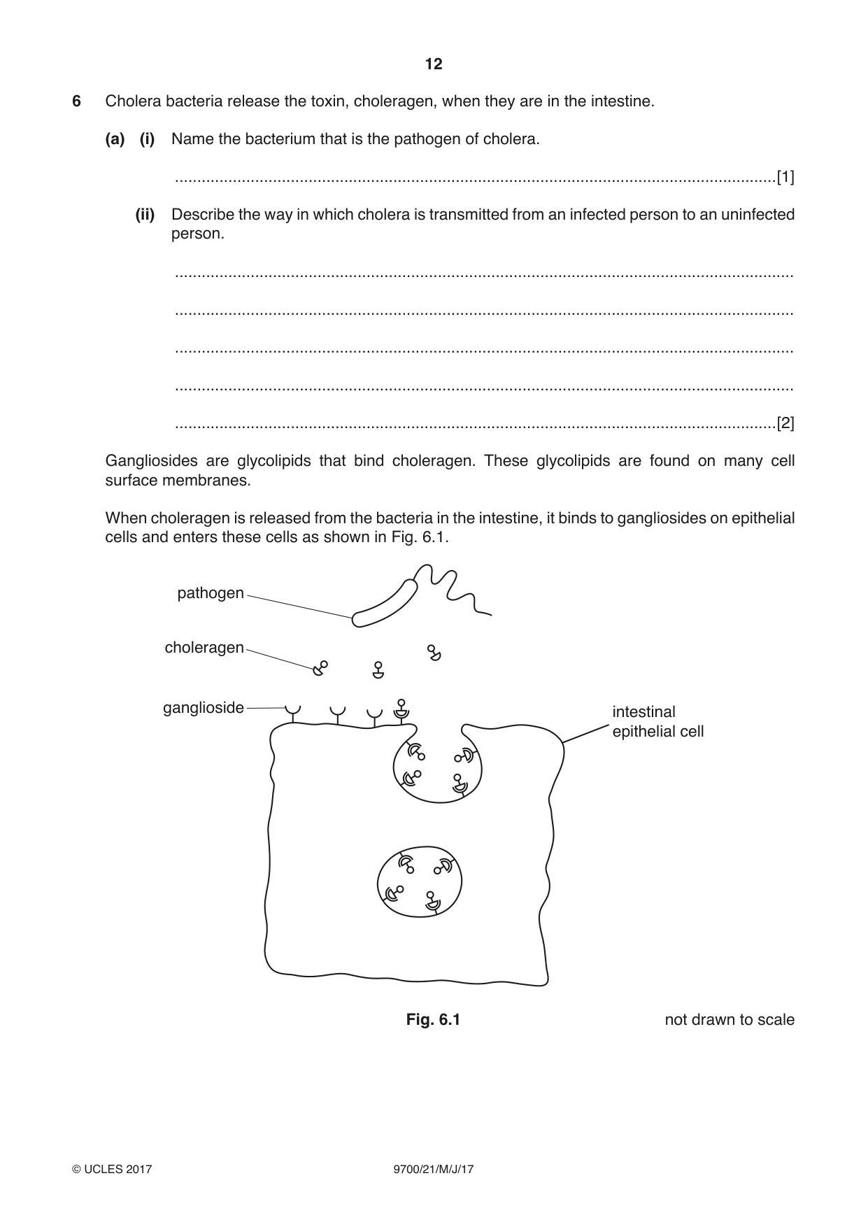 Cambridge A Level Biology 9700 2017 May/June Paper 2 · Variant 1 question paper, page 12 of 16