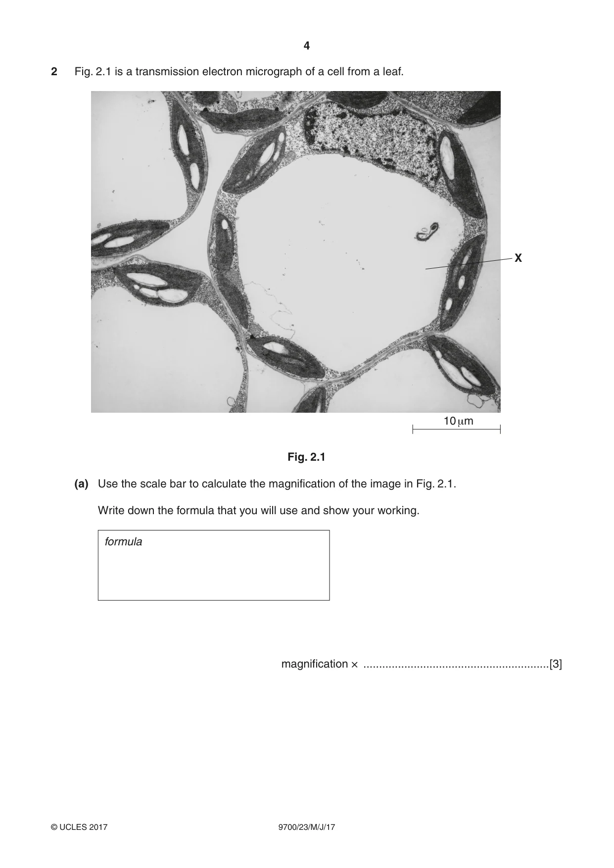 Cambridge A Level Biology 9700 2017 May/June Paper 2 · Variant 3 question paper, page 4 of 12