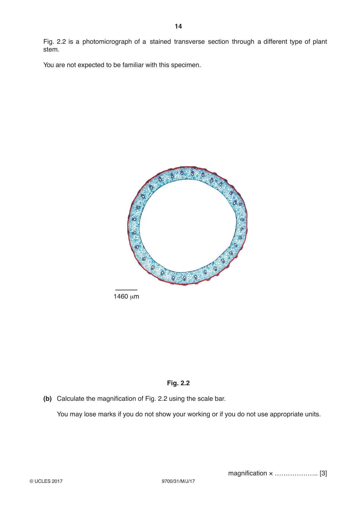 Cambridge A Level Biology 9700 2017 May/June Paper 3 · Variant 1 question paper, page 14 of 16