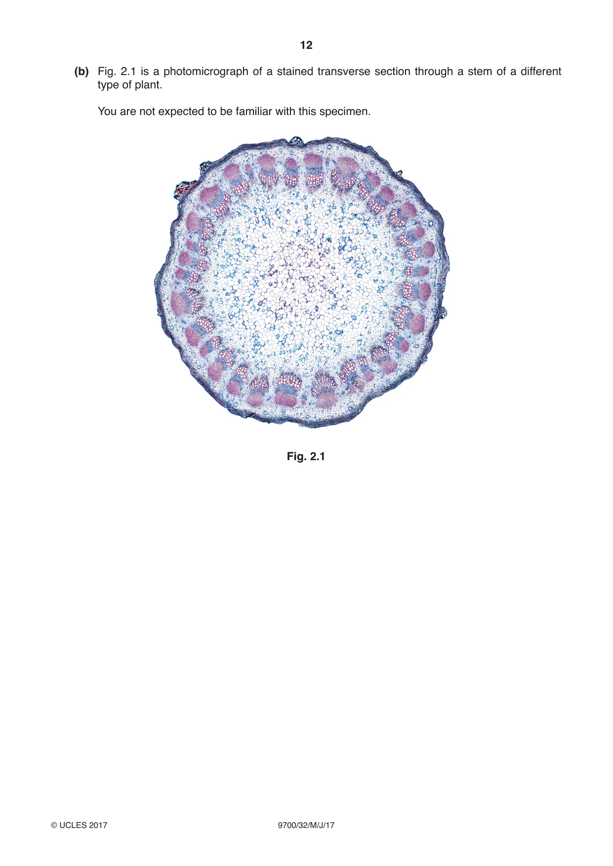 Cambridge A Level Biology 9700 2017 May/June Paper 3 · Variant 2 question paper, page 12 of 16
