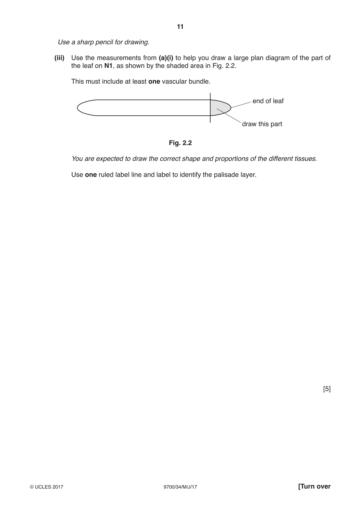 Cambridge A Level Biology 9700 2017 May/June Paper 3 · Variant 4 question paper, page 11 of 16