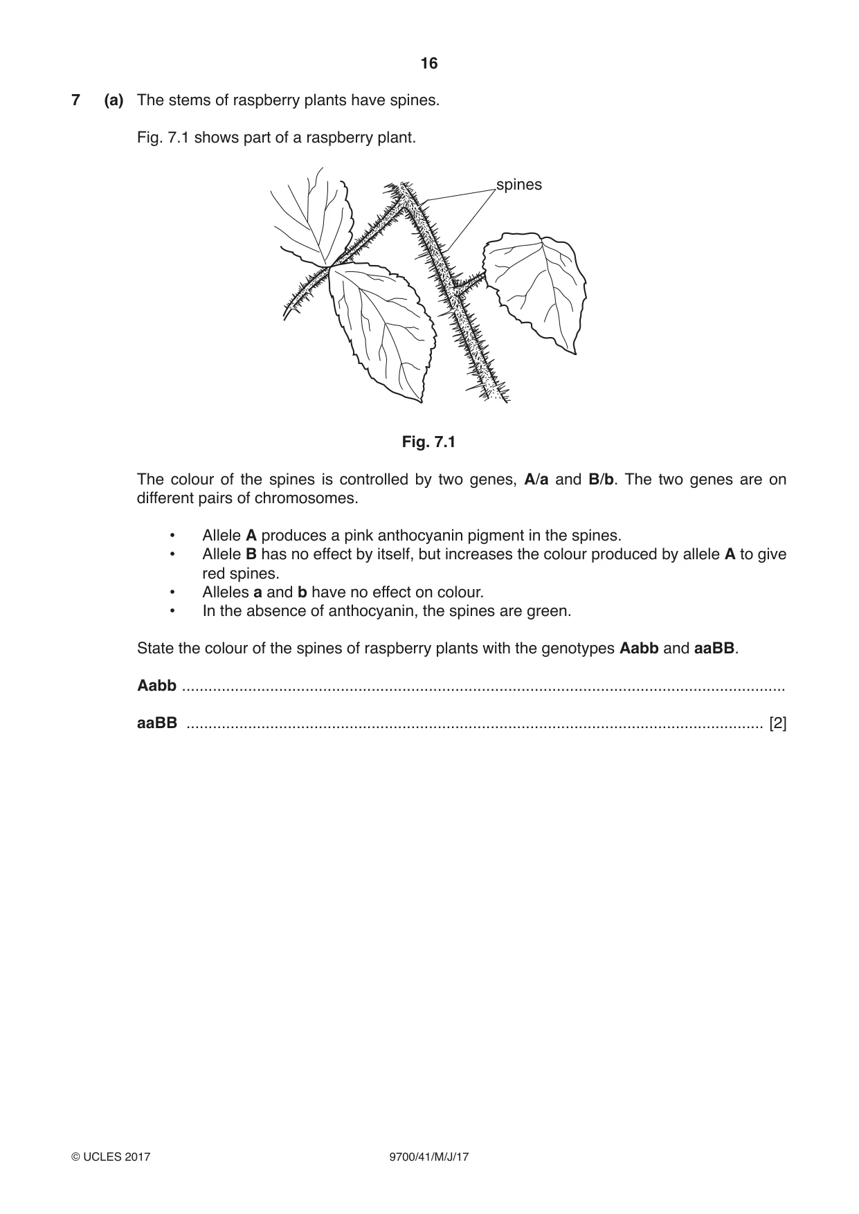 Cambridge A Level Biology 9700 2017 May/June Paper 4 · Variant 1 question paper, page 16 of 24