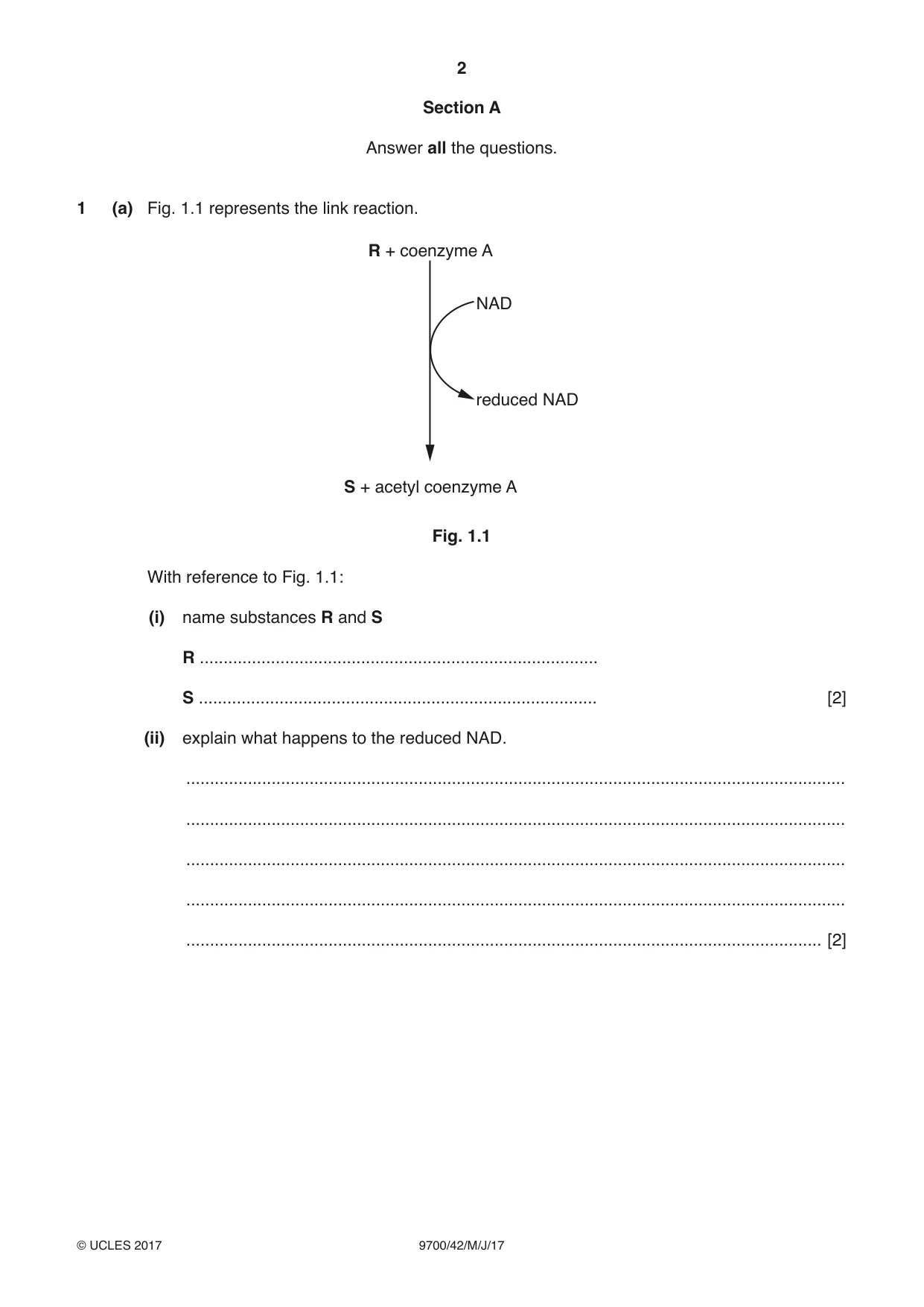 Cambridge A Level Biology 9700 2017 May/June Paper 4 · Variant 2 question paper, page 2 of 24