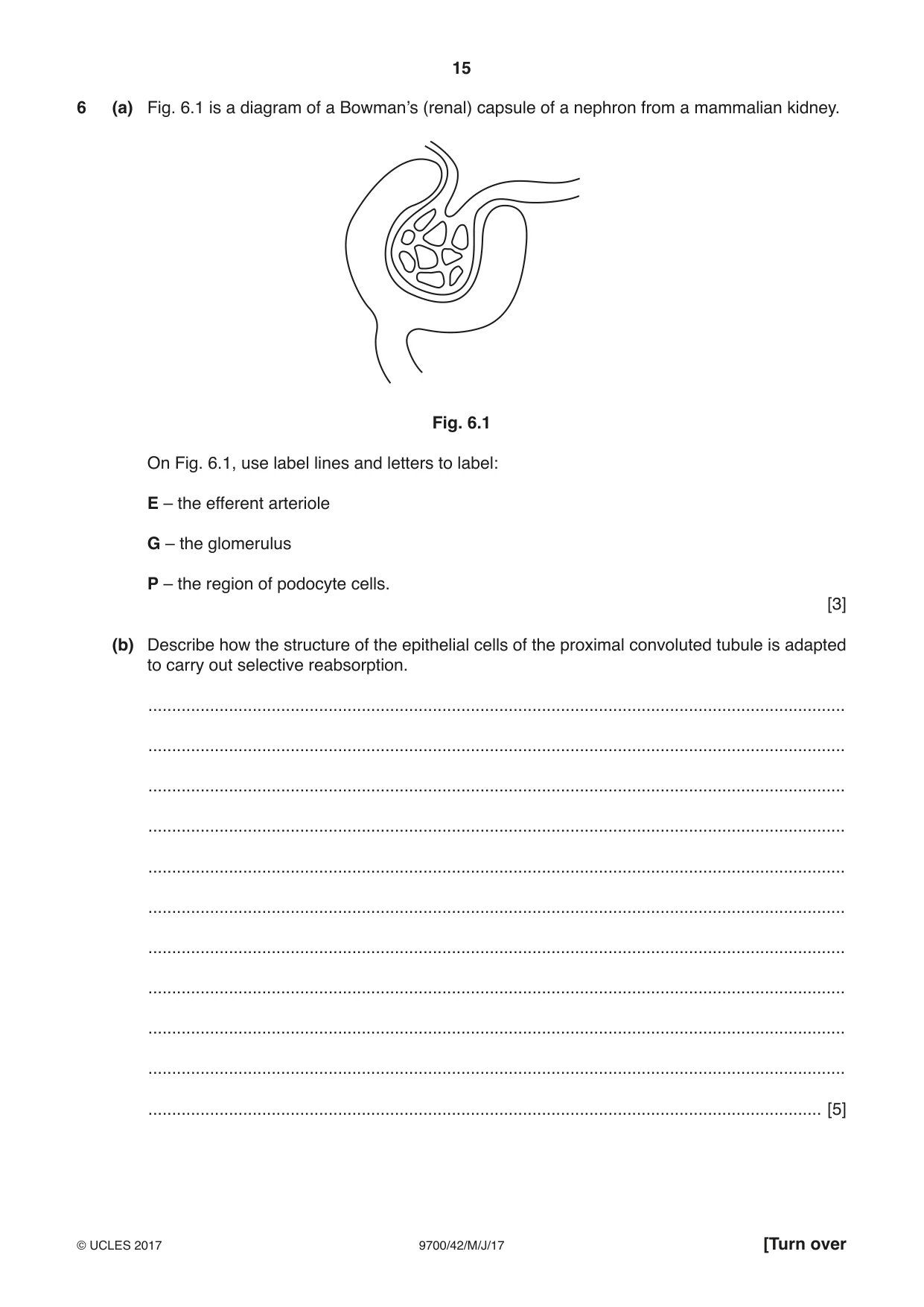 Cambridge A Level Biology 9700 2017 May/June Paper 4 · Variant 2 question paper, page 15 of 24