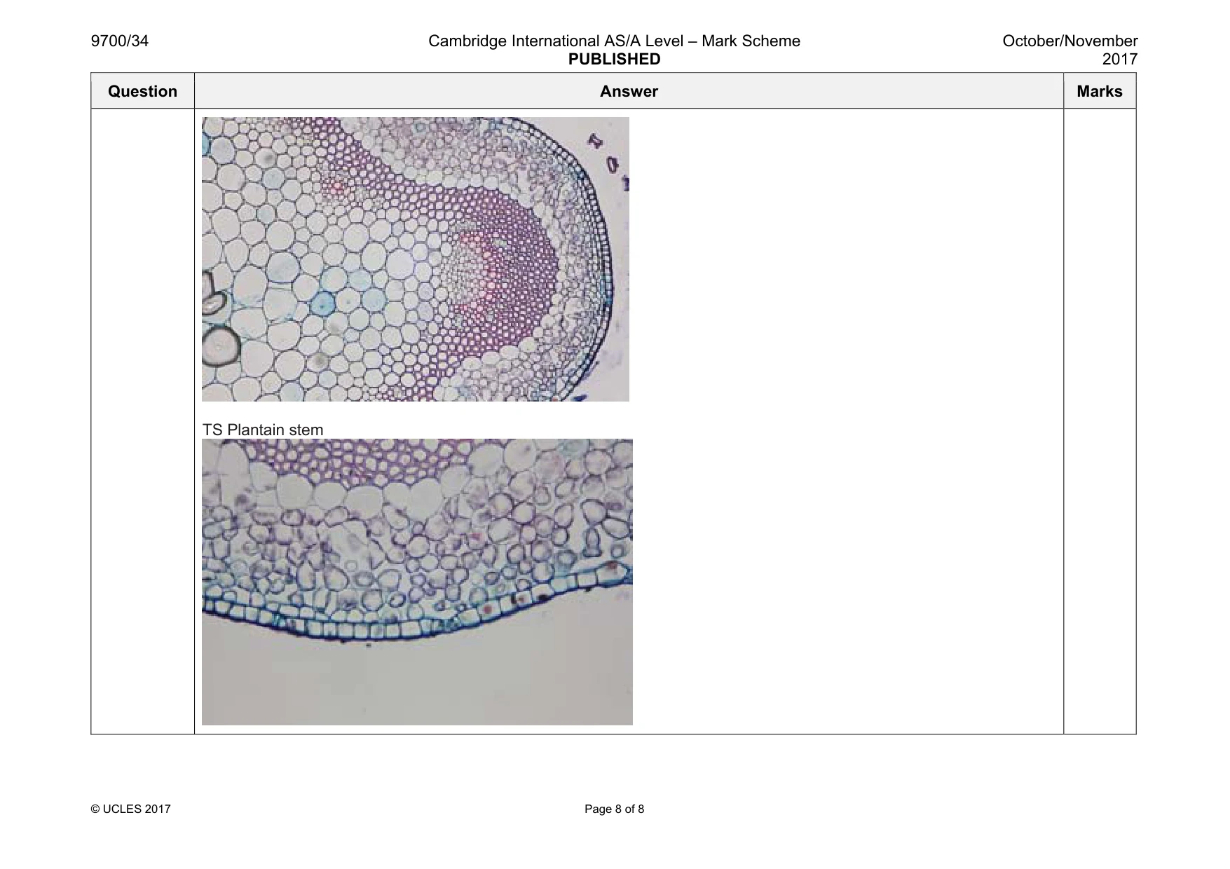 Mark scheme, page 8 of 8