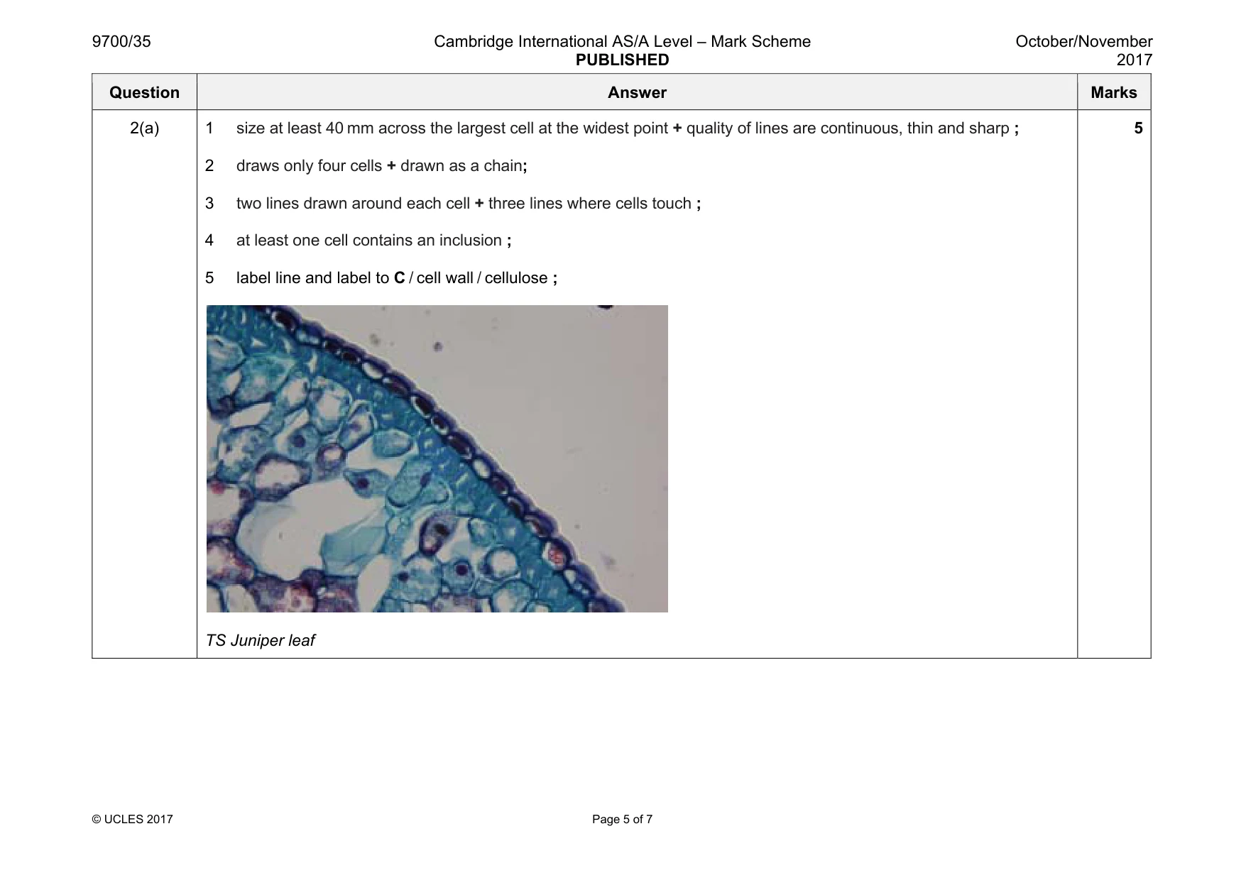 Mark scheme, page 5 of 7