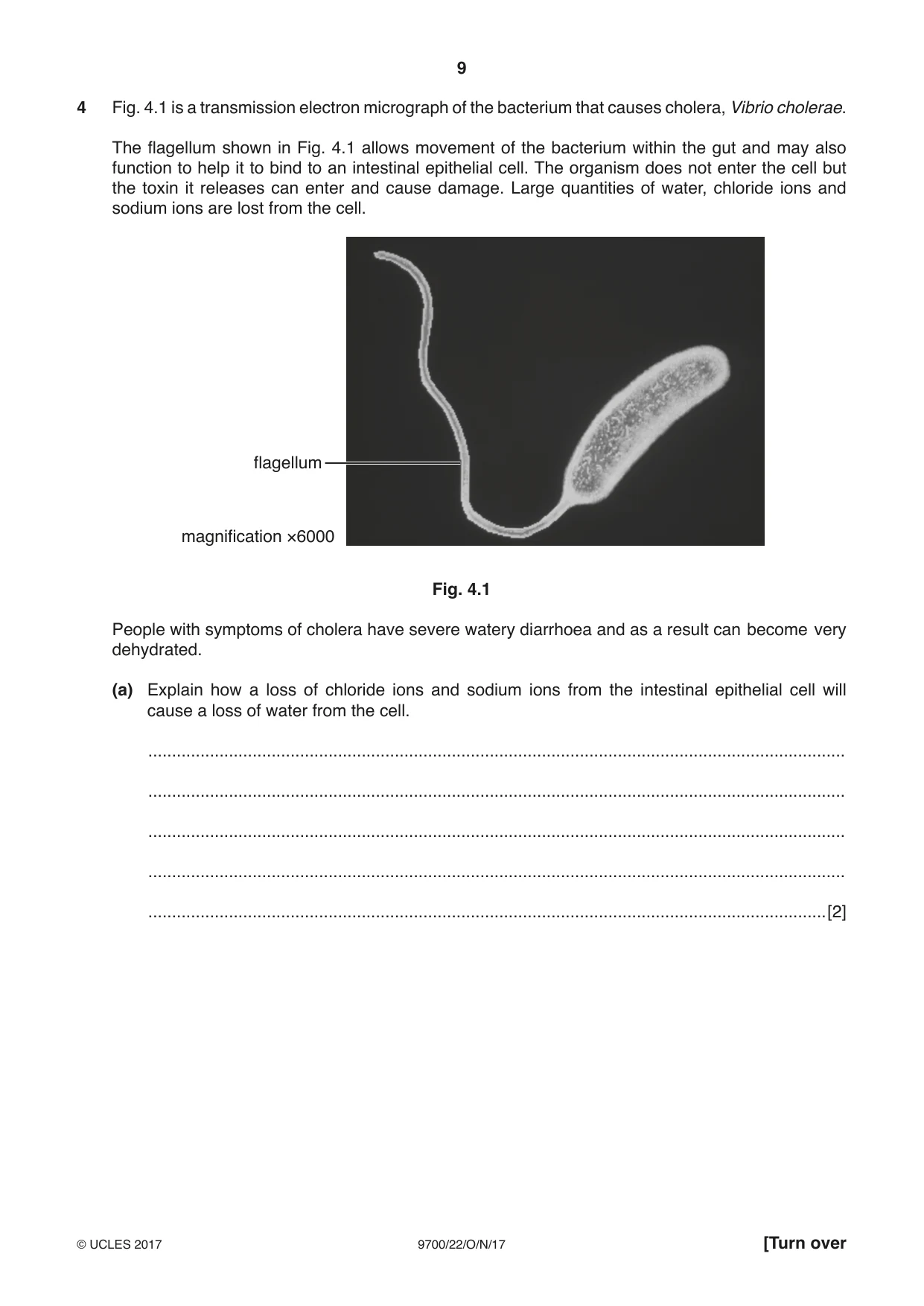 Cambridge A Level Biology 9700 2017 Oct/Nov Paper 2 · Variant 2 question paper, page 9 of 16