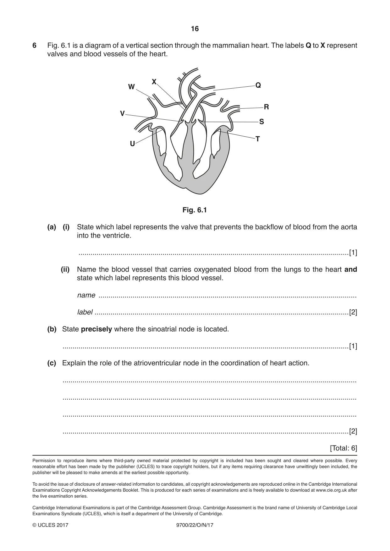 Cambridge A Level Biology 9700 2017 Oct/Nov Paper 2 · Variant 2 question paper, page 16 of 16