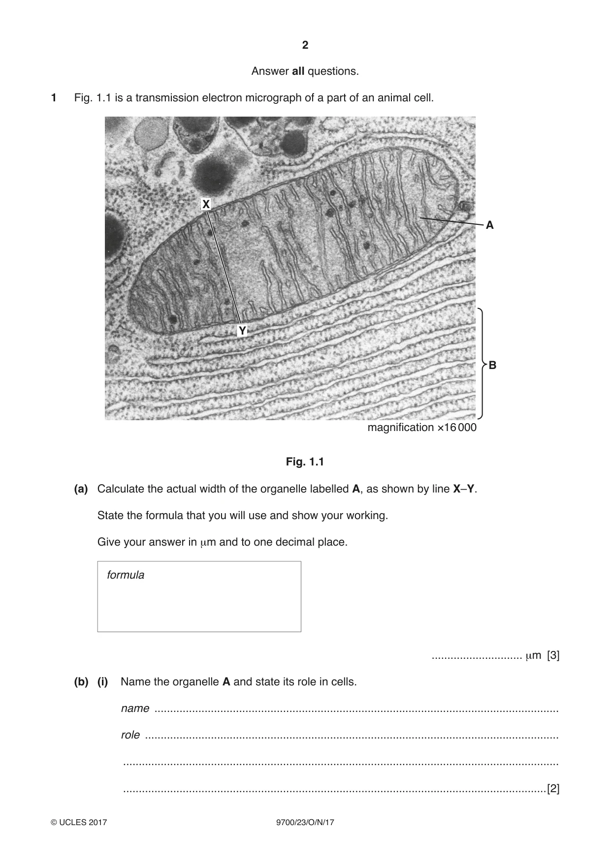 Cambridge A Level Biology 9700 2017 Oct/Nov Paper 2 · Variant 3 question paper, page 2 of 16