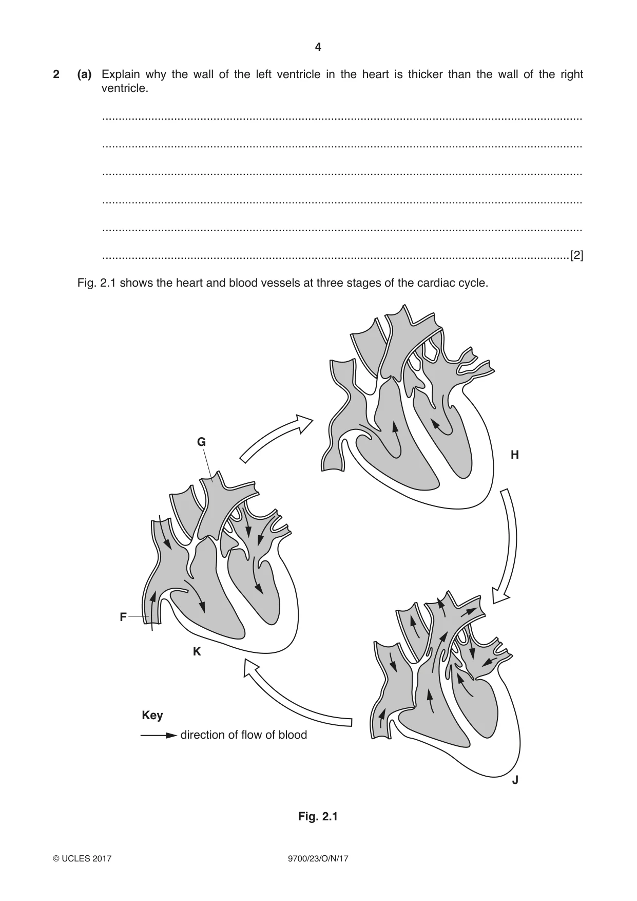 Cambridge A Level Biology 9700 2017 Oct/Nov Paper 2 · Variant 3 question paper, page 4 of 16