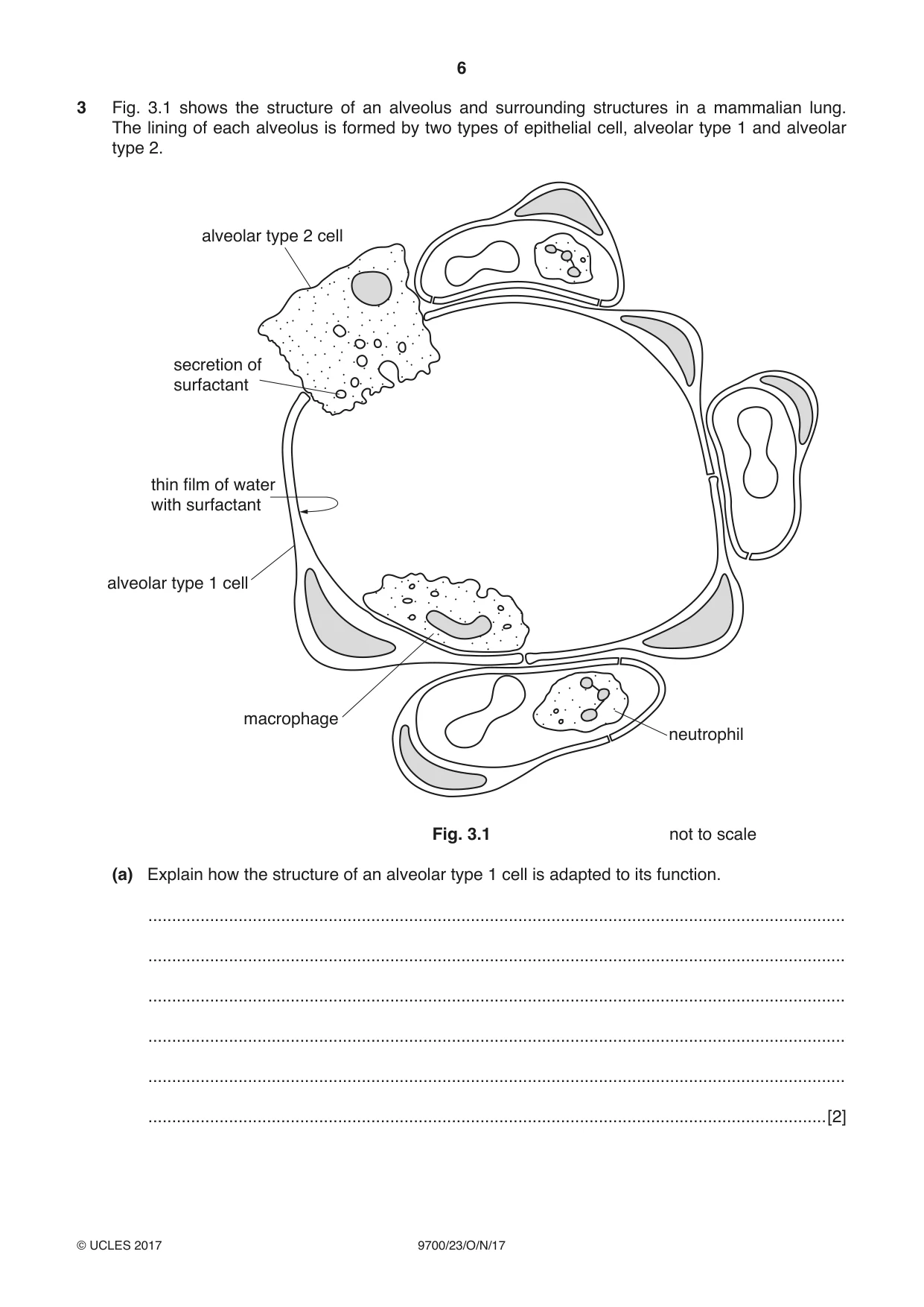 Cambridge A Level Biology 9700 2017 Oct/Nov Paper 2 · Variant 3 question paper, page 6 of 16