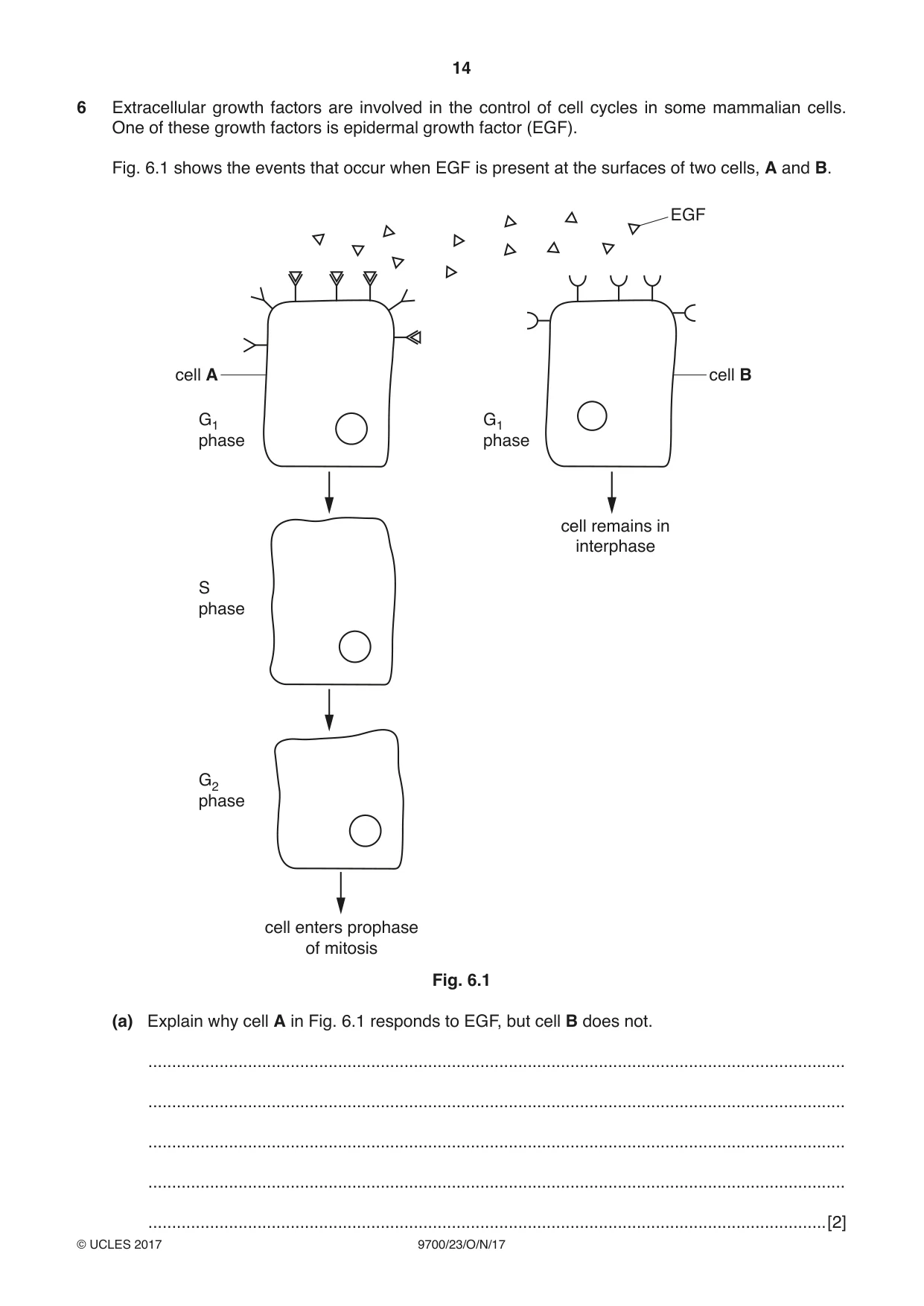 Cambridge A Level Biology 9700 2017 Oct/Nov Paper 2 · Variant 3 question paper, page 14 of 16