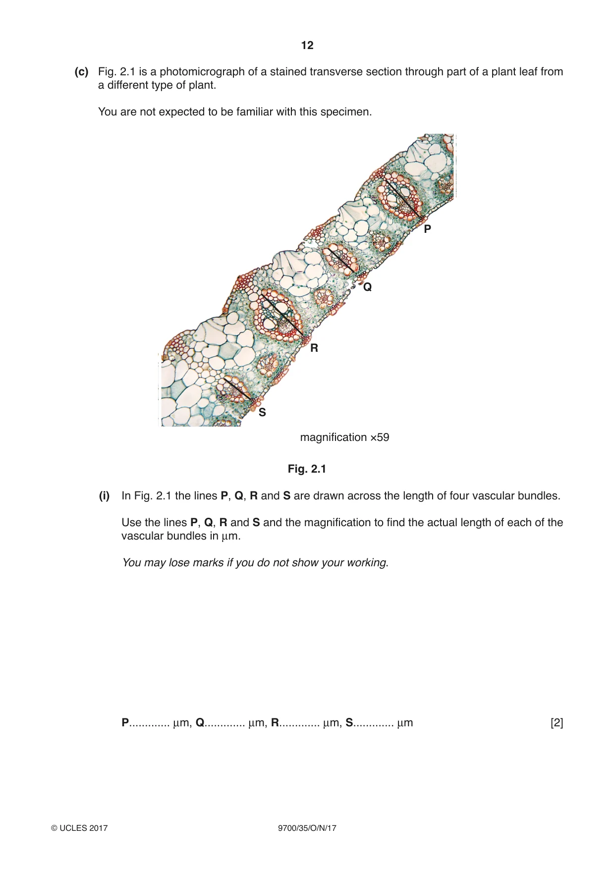 Cambridge A Level Biology 9700 2017 Oct/Nov Paper 3 · Variant 5 question paper, page 12 of 16