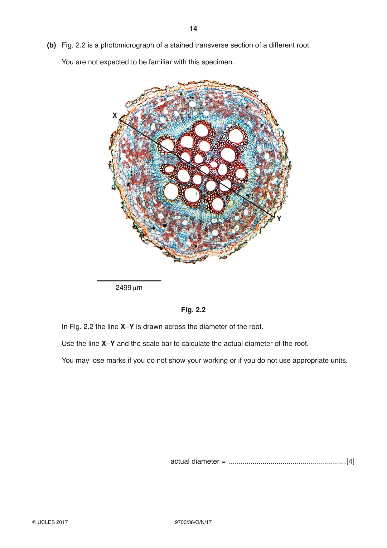 Cambridge A Level Biology 9700 2017 Oct/Nov Paper 3 · Variant 6 question paper, page 14 of 16