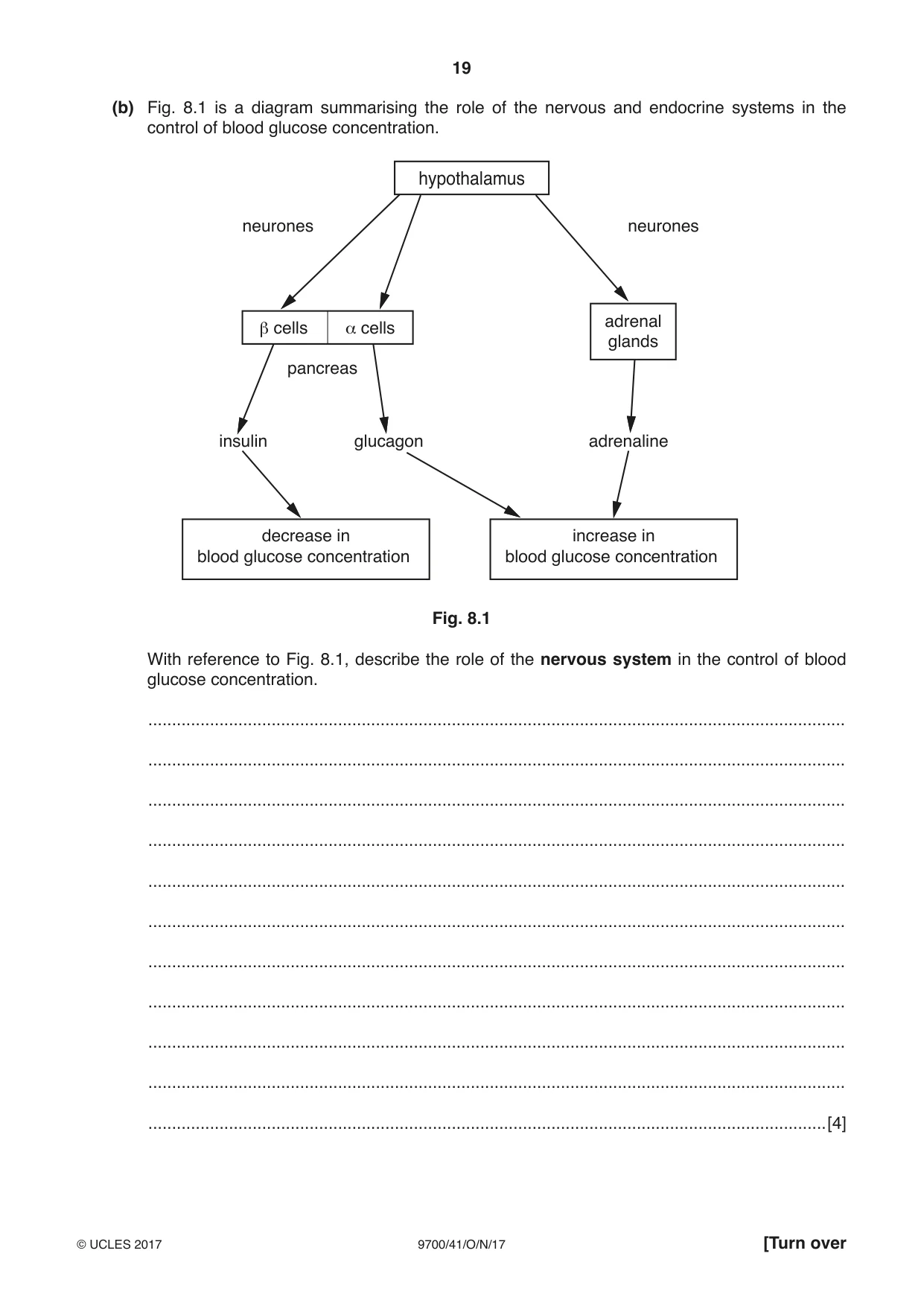 Cambridge A Level Biology 9700 2017 Oct/Nov Paper 4 · Variant 1 question paper, page 19 of 24