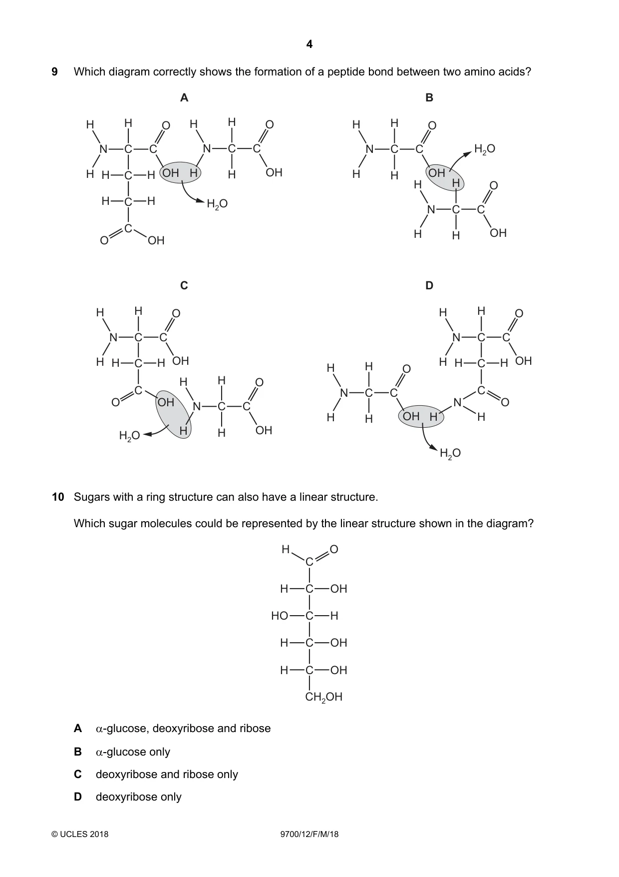 Cambridge A Level Biology 9700 2018 Feb/March Paper 1 · Variant 2 question paper, page 4 of 16