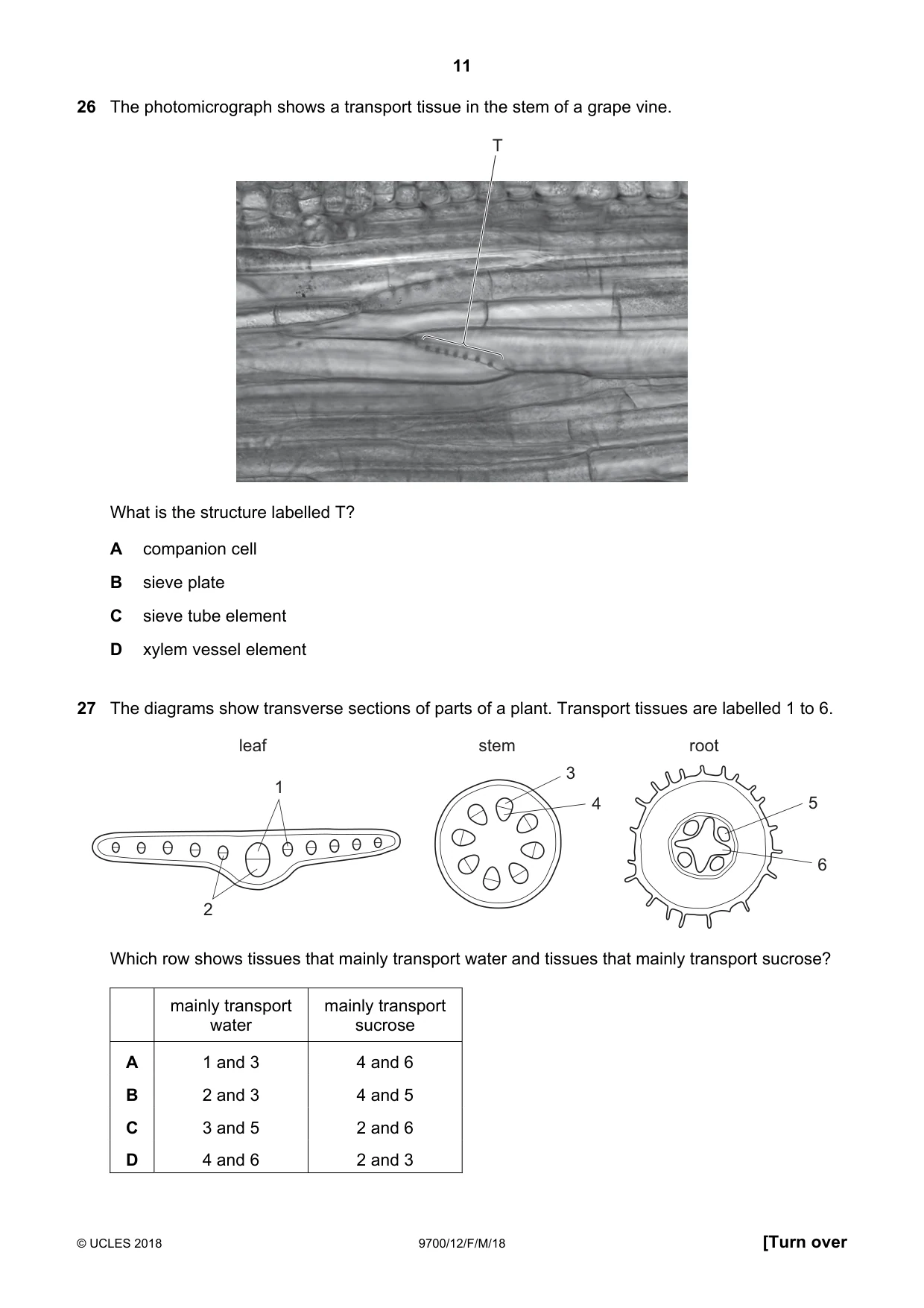 Cambridge A Level Biology 9700 2018 Feb/March Paper 1 · Variant 2 question paper, page 11 of 16