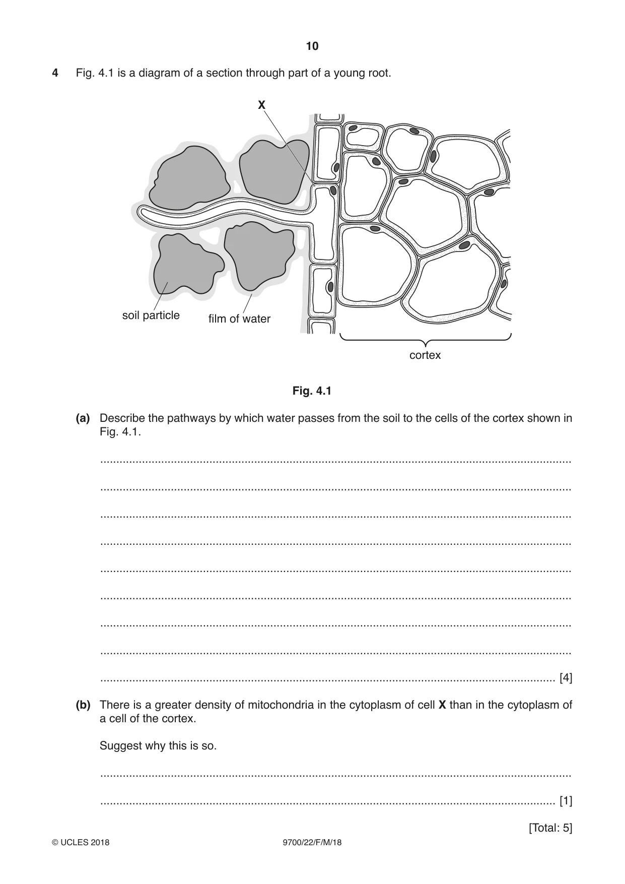 Cambridge A Level Biology 9700 2018 Feb/March Paper 2 · Variant 2 question paper, page 10 of 16
