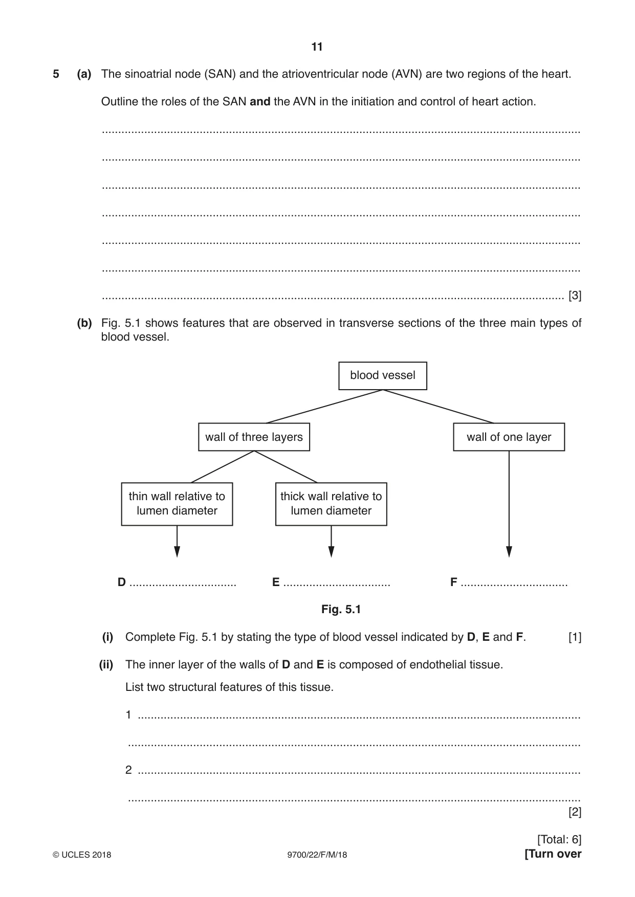 Cambridge A Level Biology 9700 2018 Feb/March Paper 2 · Variant 2 question paper, page 11 of 16