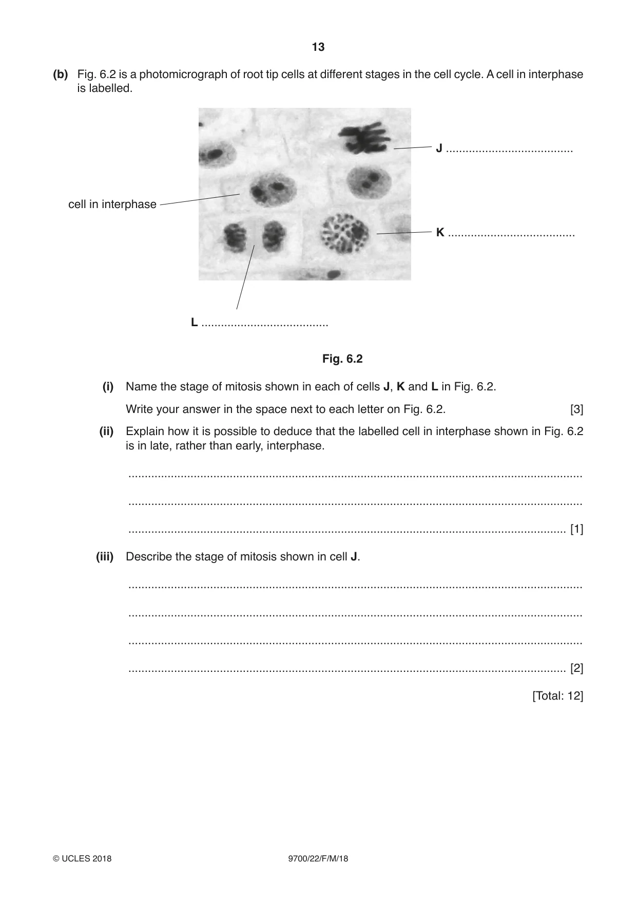 Cambridge A Level Biology 9700 2018 Feb/March Paper 2 · Variant 2 question paper, page 13 of 16