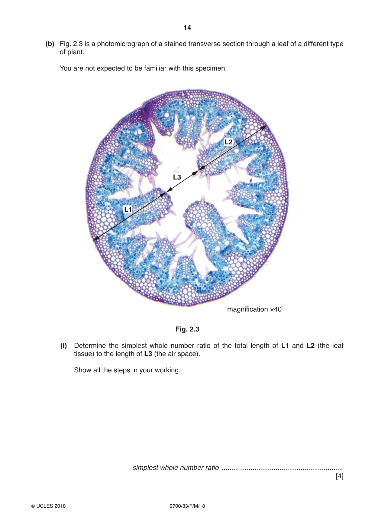 Cambridge A Level Biology 9700 2018 Feb/March Paper 3 · Variant 3 question paper, page 14 of 16