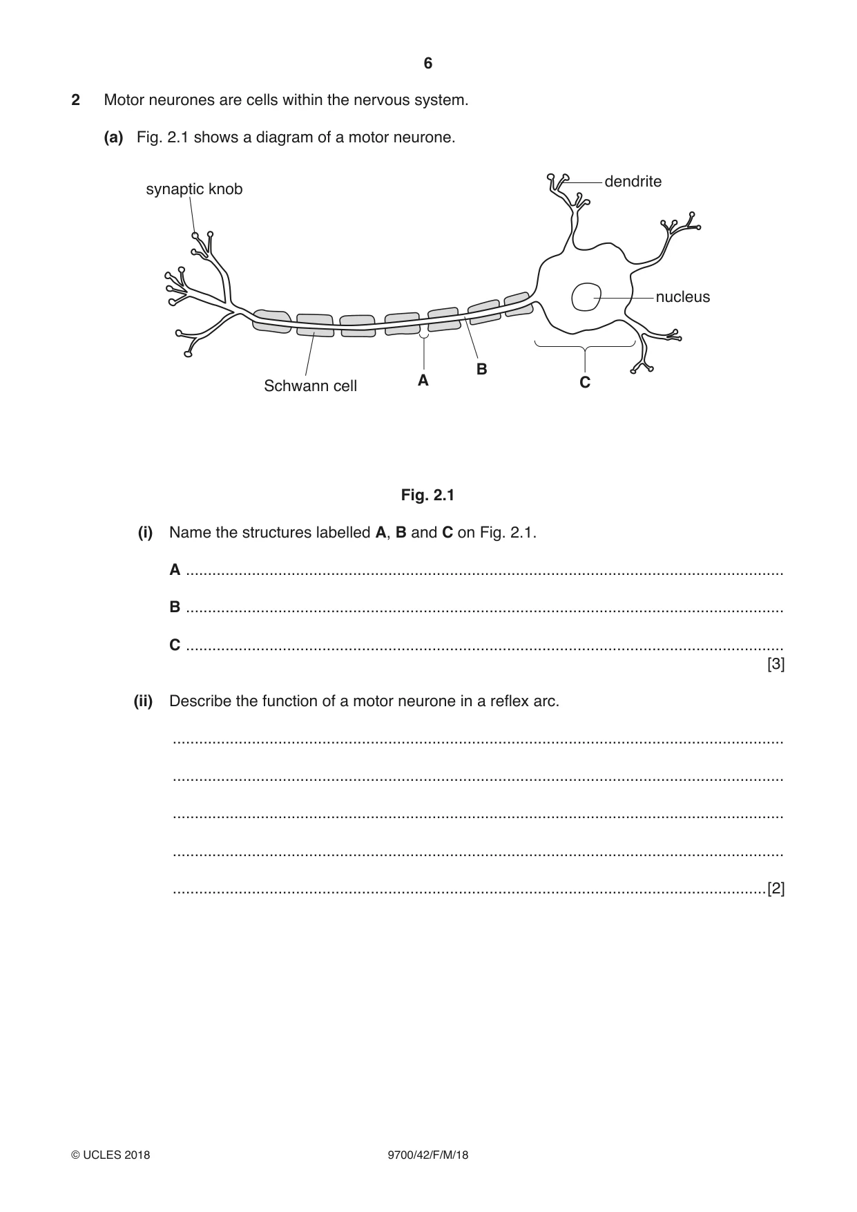 Cambridge A Level Biology 9700 2018 Feb/March Paper 4 · Variant 2 question paper, page 6 of 28