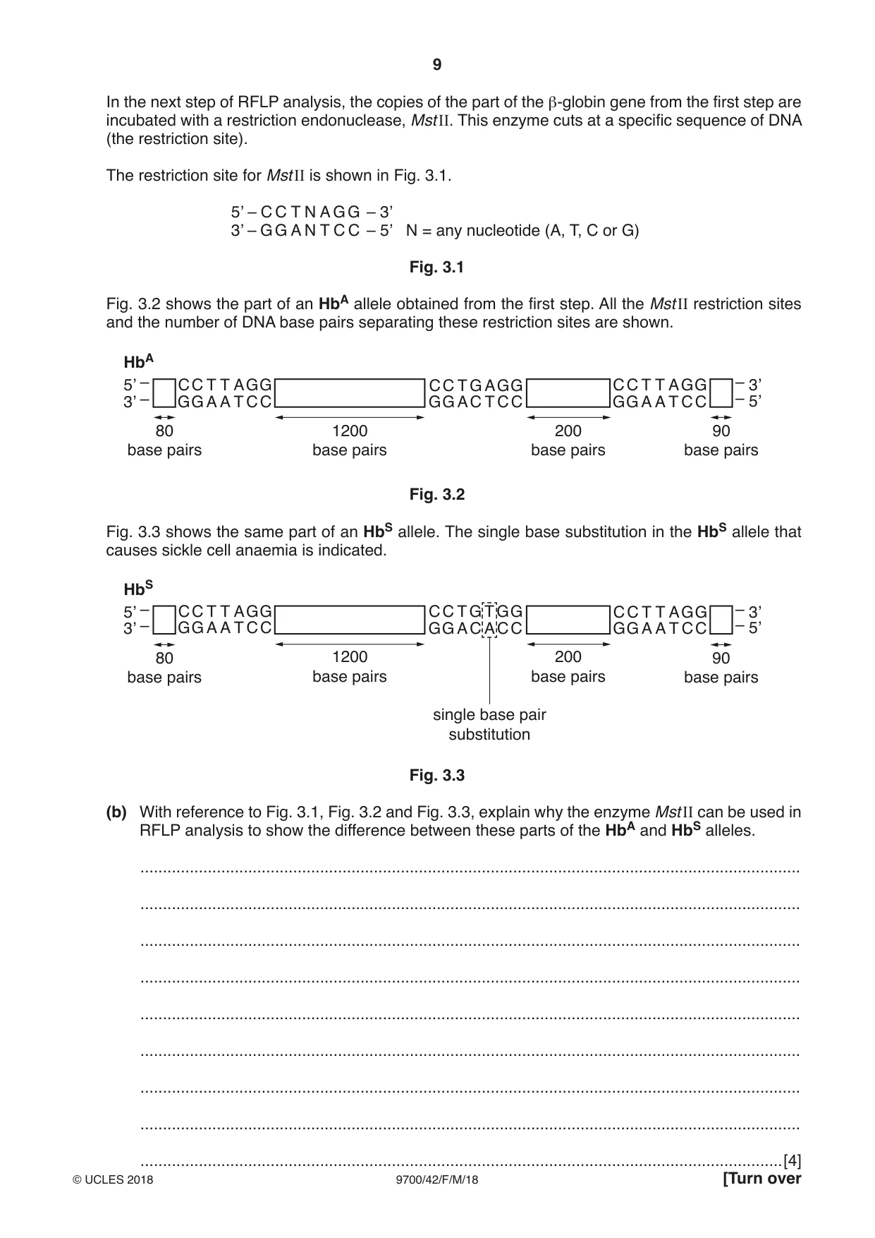 Cambridge A Level Biology 9700 2018 Feb/March Paper 4 · Variant 2 question paper, page 9 of 28