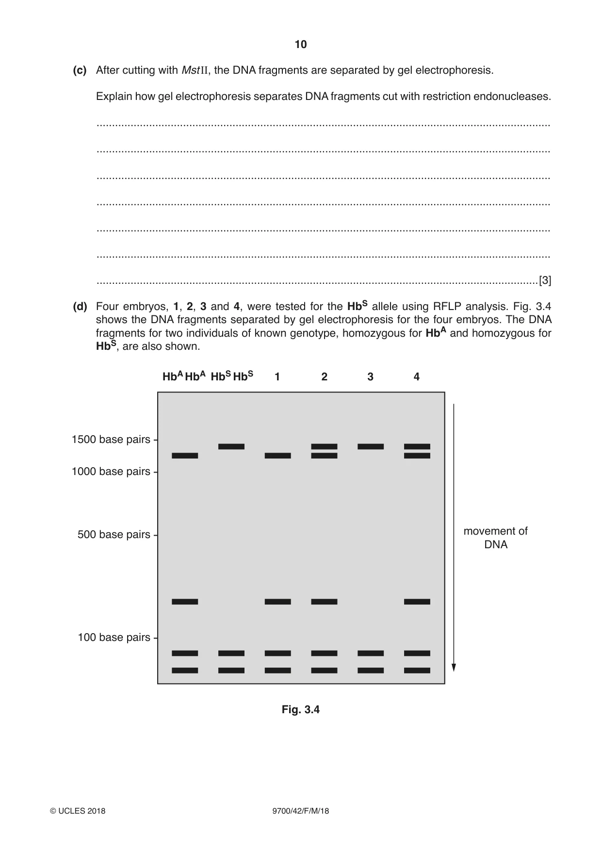 Cambridge A Level Biology 9700 2018 Feb/March Paper 4 · Variant 2 question paper, page 10 of 28