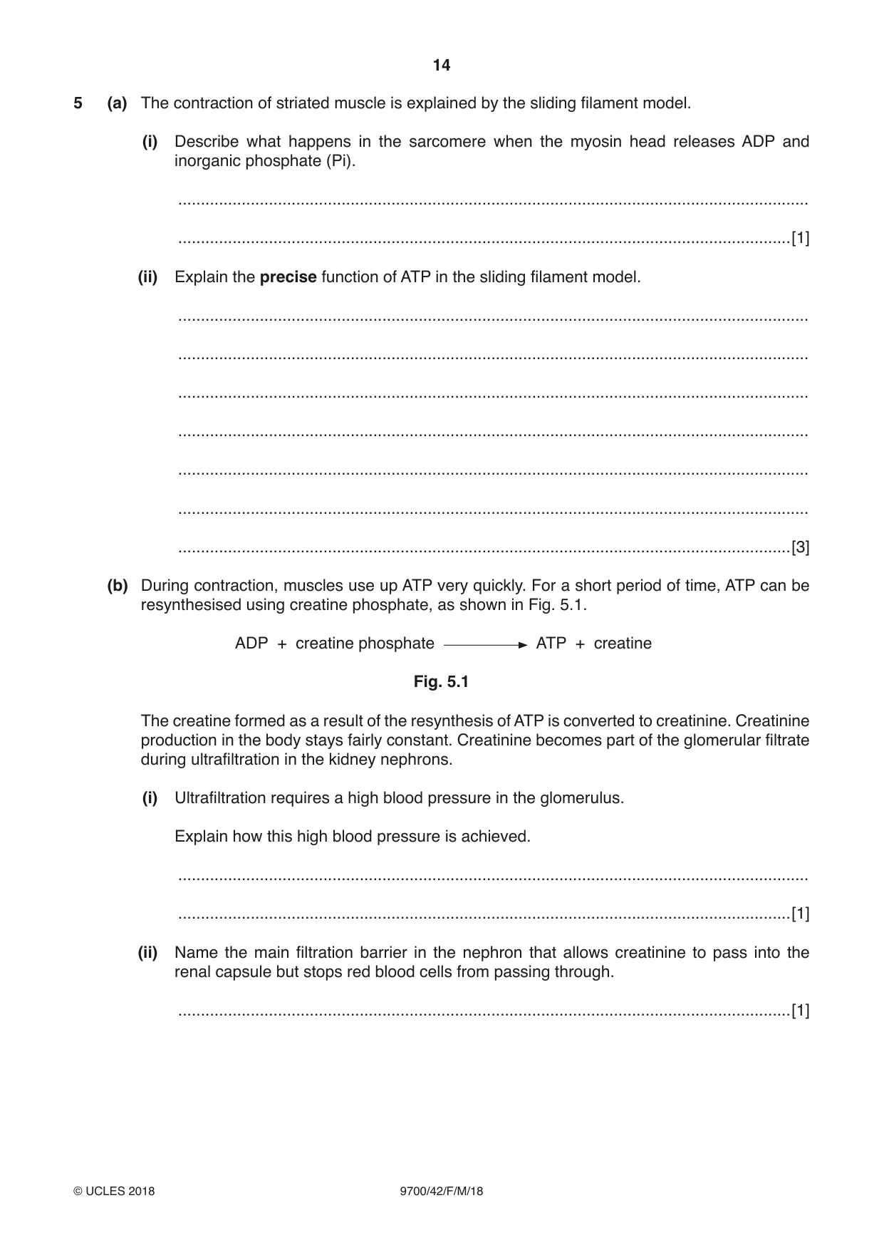 Cambridge A Level Biology 9700 2018 Feb/March Paper 4 · Variant 2 question paper, page 14 of 28