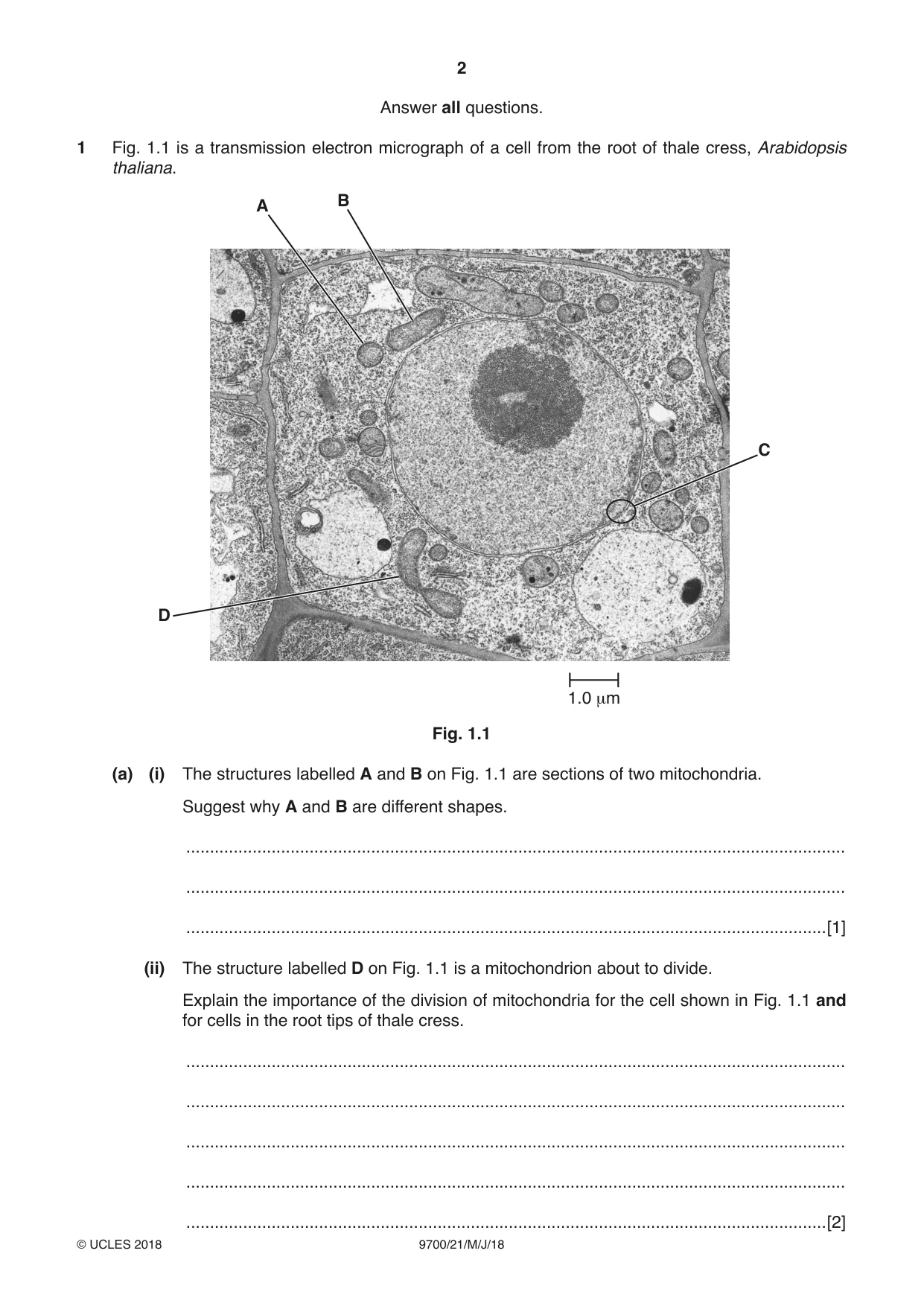 Cambridge A Level Biology 9700 2018 May/June Paper 2 · Variant 1 question paper, page 2 of 16