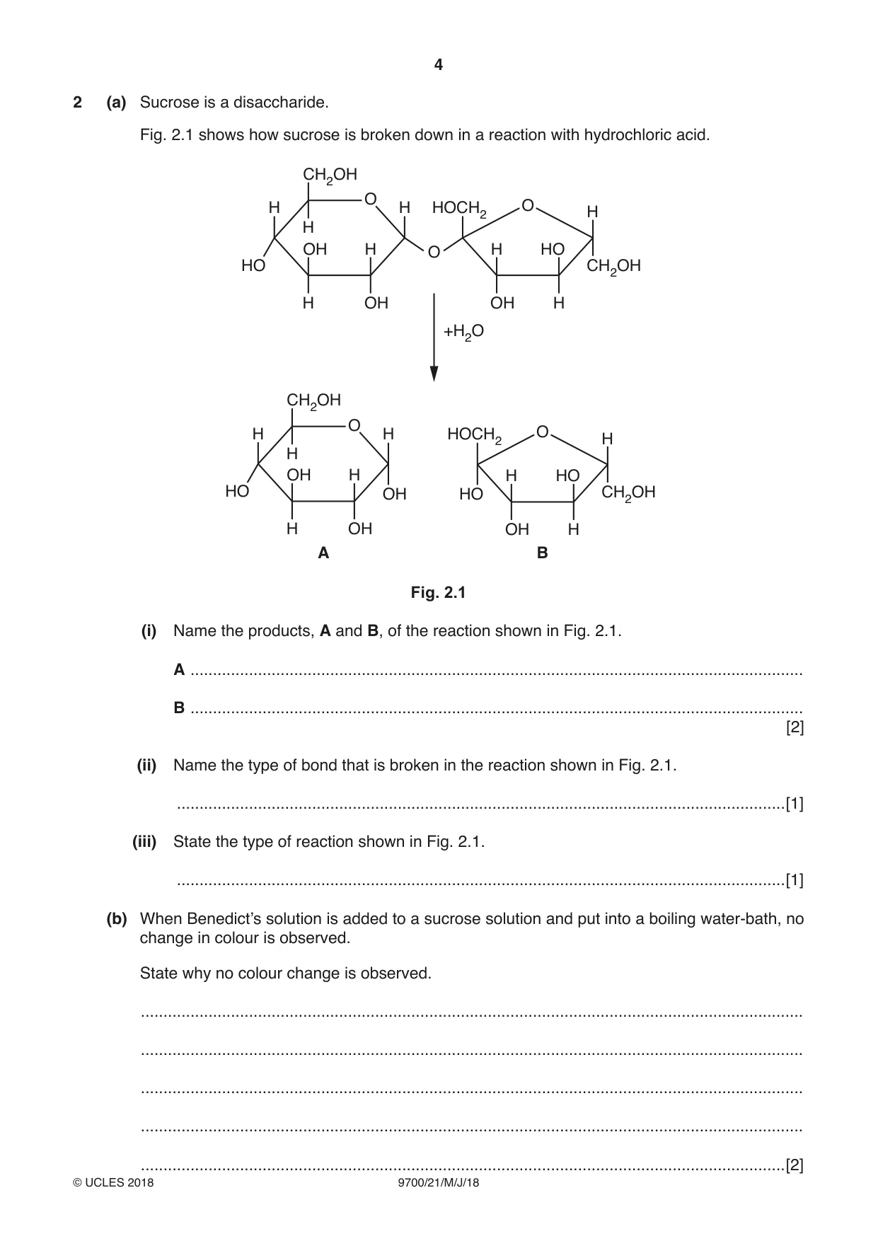 Cambridge A Level Biology 9700 2018 May/June Paper 2 · Variant 1 question paper, page 4 of 16