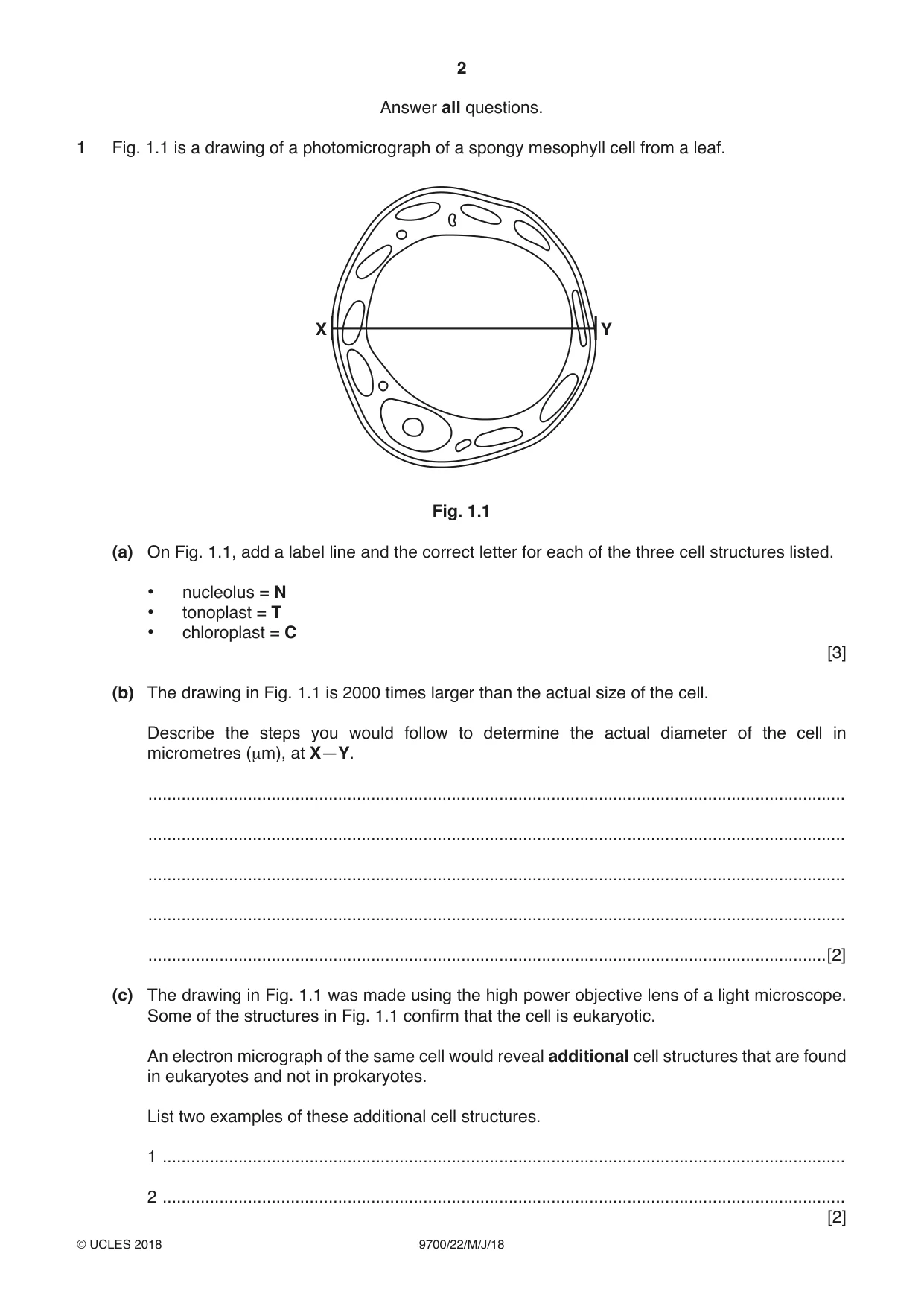 Cambridge A Level Biology 9700 2018 May/June Paper 2 · Variant 2 question paper, page 2 of 16