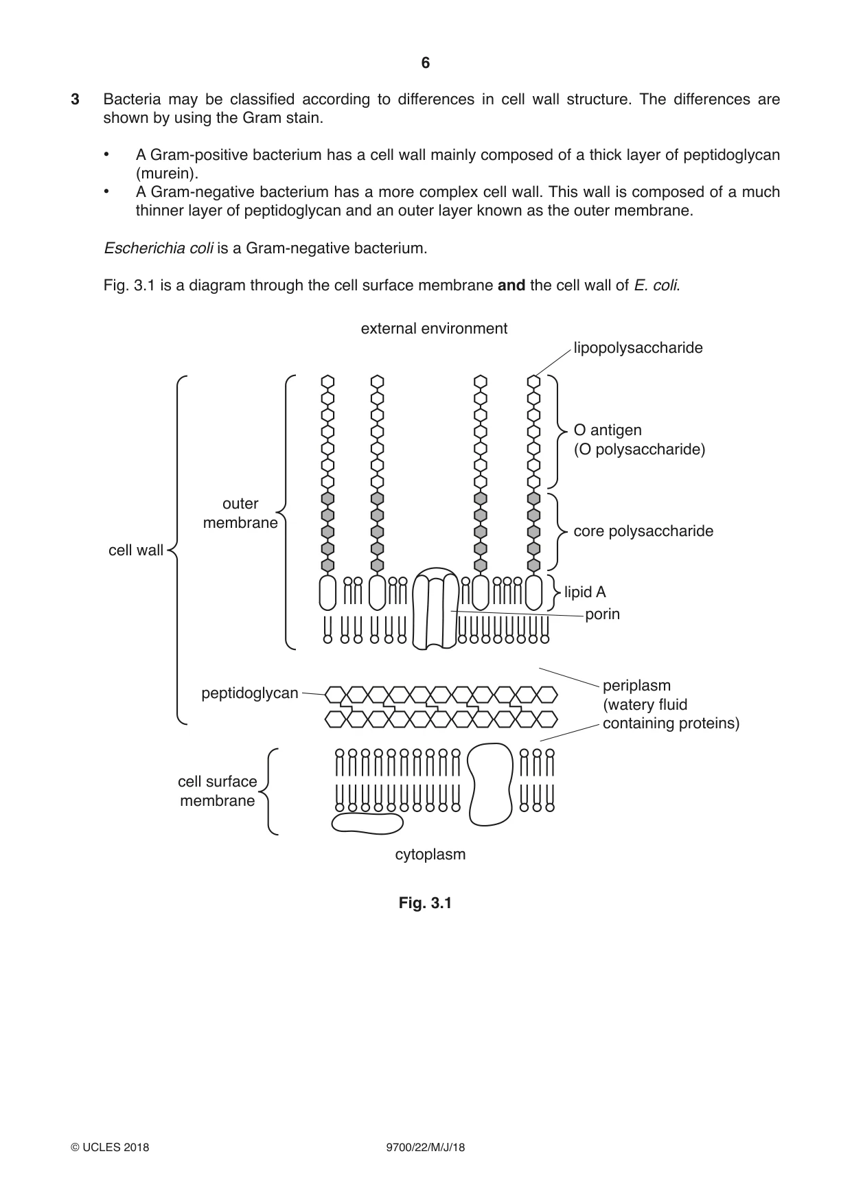 Cambridge A Level Biology 9700 2018 May/June Paper 2 · Variant 2 question paper, page 6 of 16