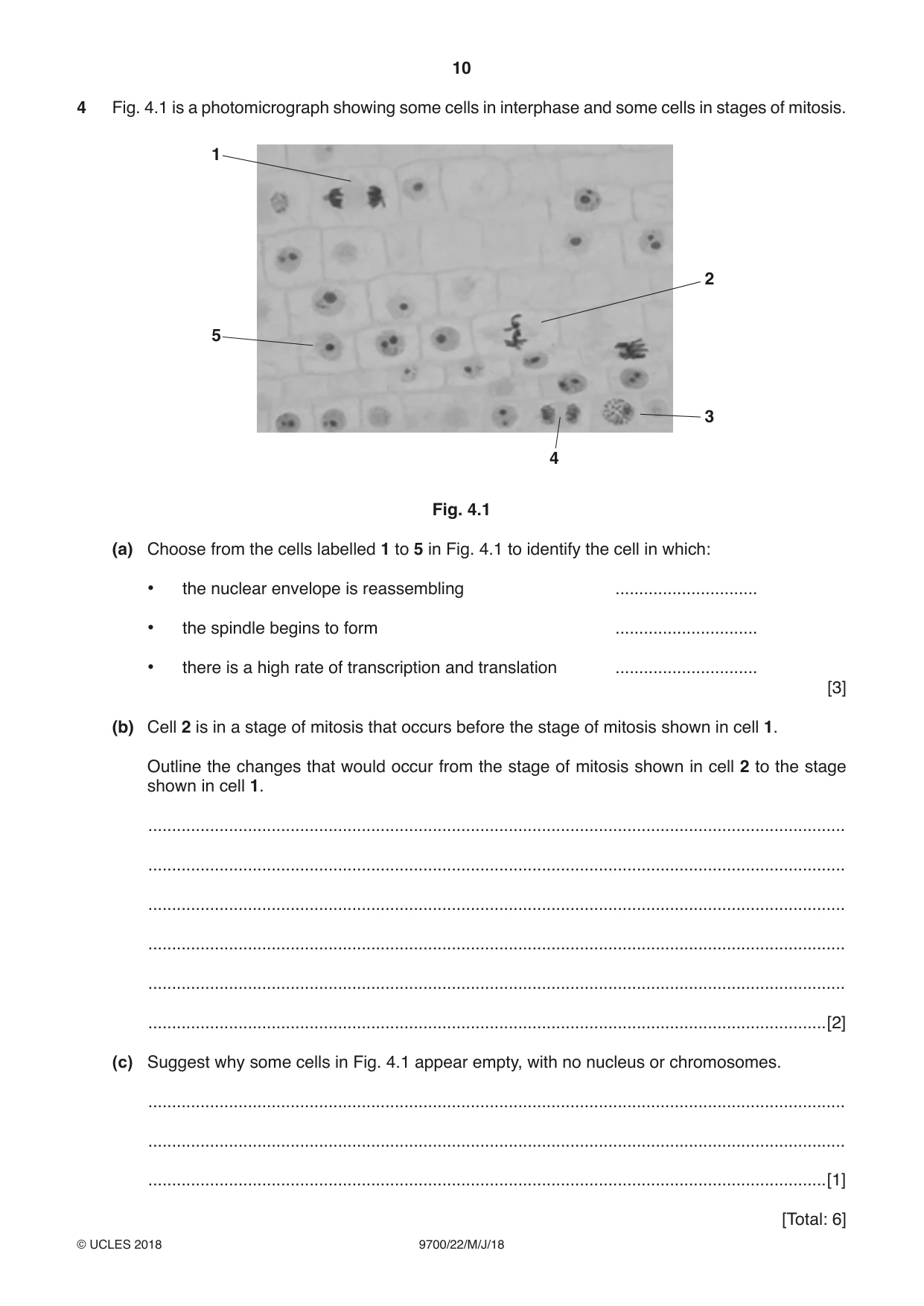 Cambridge A Level Biology 9700 2018 May/June Paper 2 · Variant 2 question paper, page 10 of 16