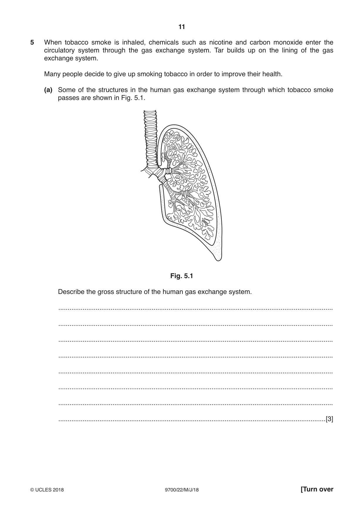 Cambridge A Level Biology 9700 2018 May/June Paper 2 · Variant 2 question paper, page 11 of 16