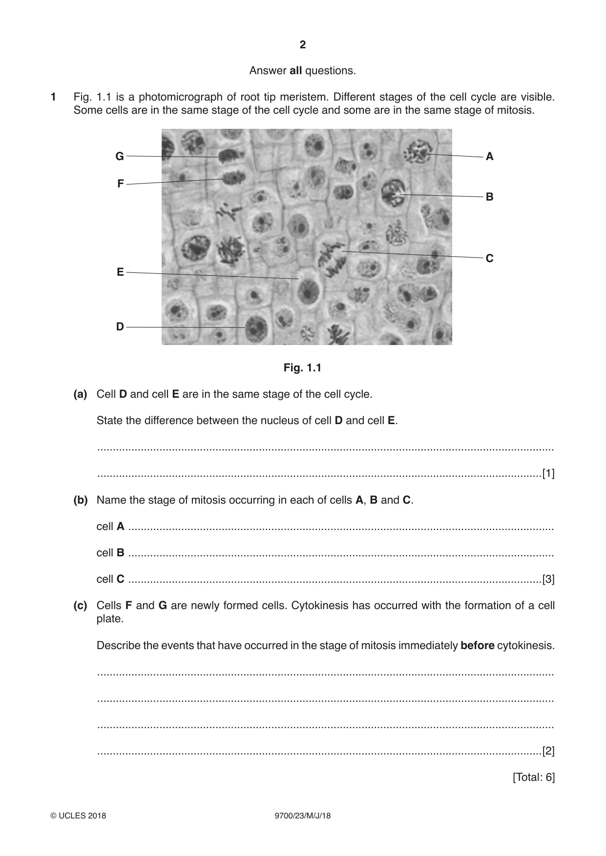 Cambridge A Level Biology 9700 2018 May/June Paper 2 · Variant 3 question paper, page 2 of 20