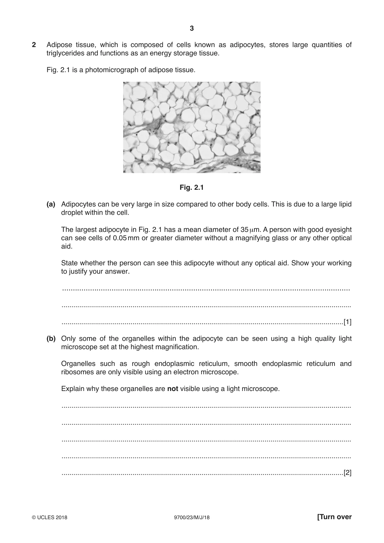 Cambridge A Level Biology 9700 2018 May/June Paper 2 · Variant 3 question paper, page 3 of 20