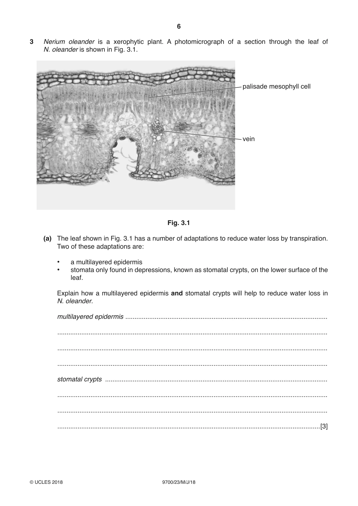 Cambridge A Level Biology 9700 2018 May/June Paper 2 · Variant 3 question paper, page 6 of 20