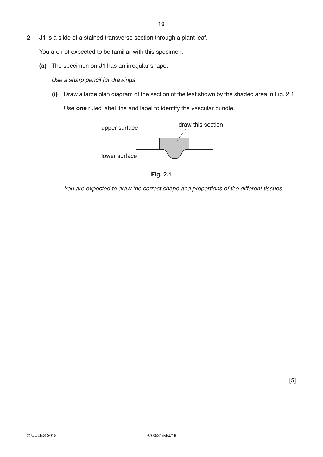 Cambridge A Level Biology 9700 2018 May/June Paper 3 · Variant 1 question paper, page 10 of 16