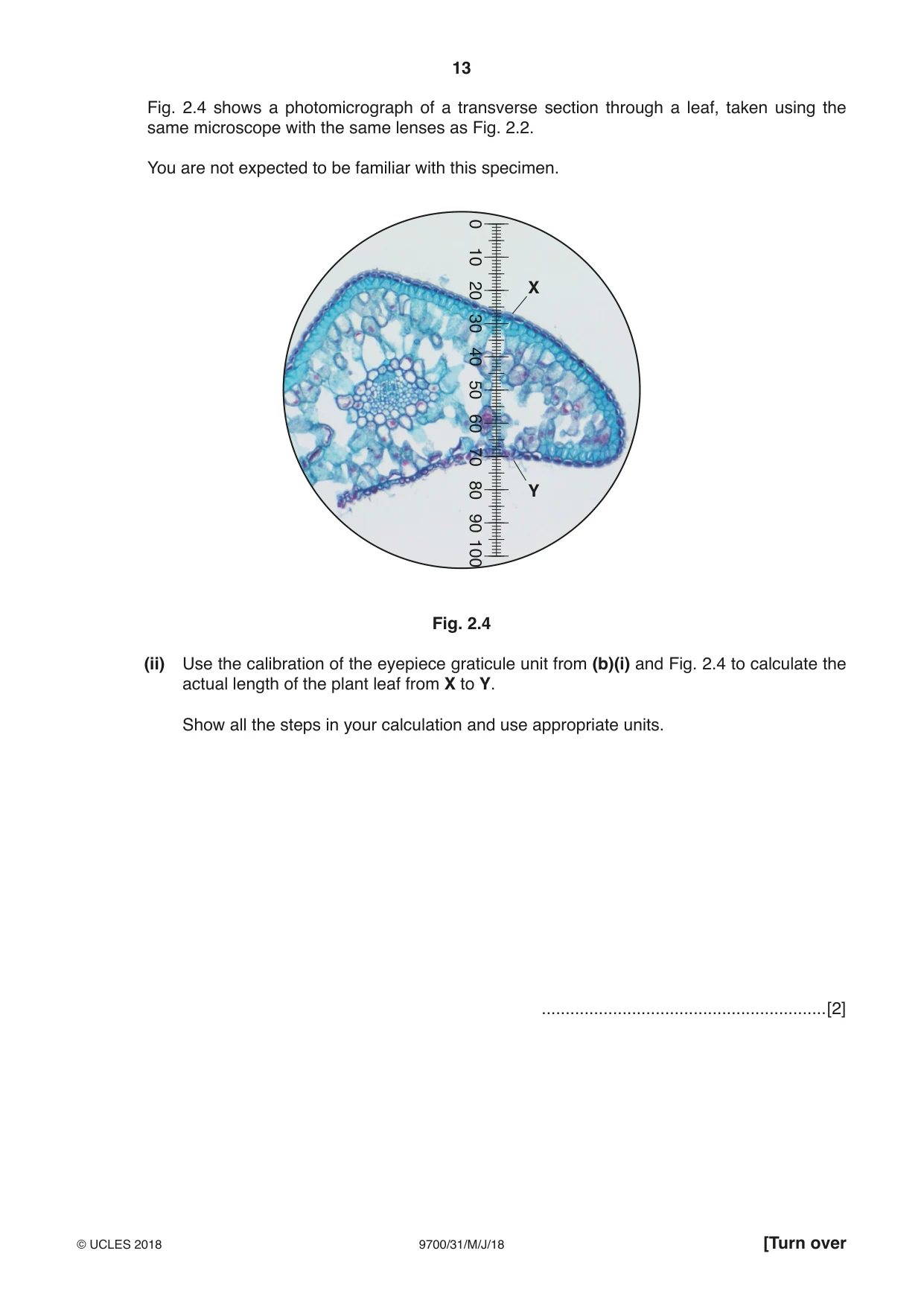 Cambridge A Level Biology 9700 2018 May/June Paper 3 · Variant 1 question paper, page 13 of 16