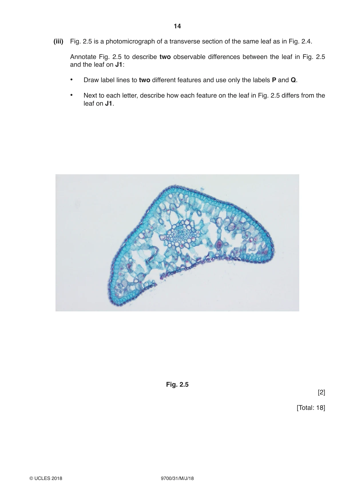 Cambridge A Level Biology 9700 2018 May/June Paper 3 · Variant 1 question paper, page 14 of 16